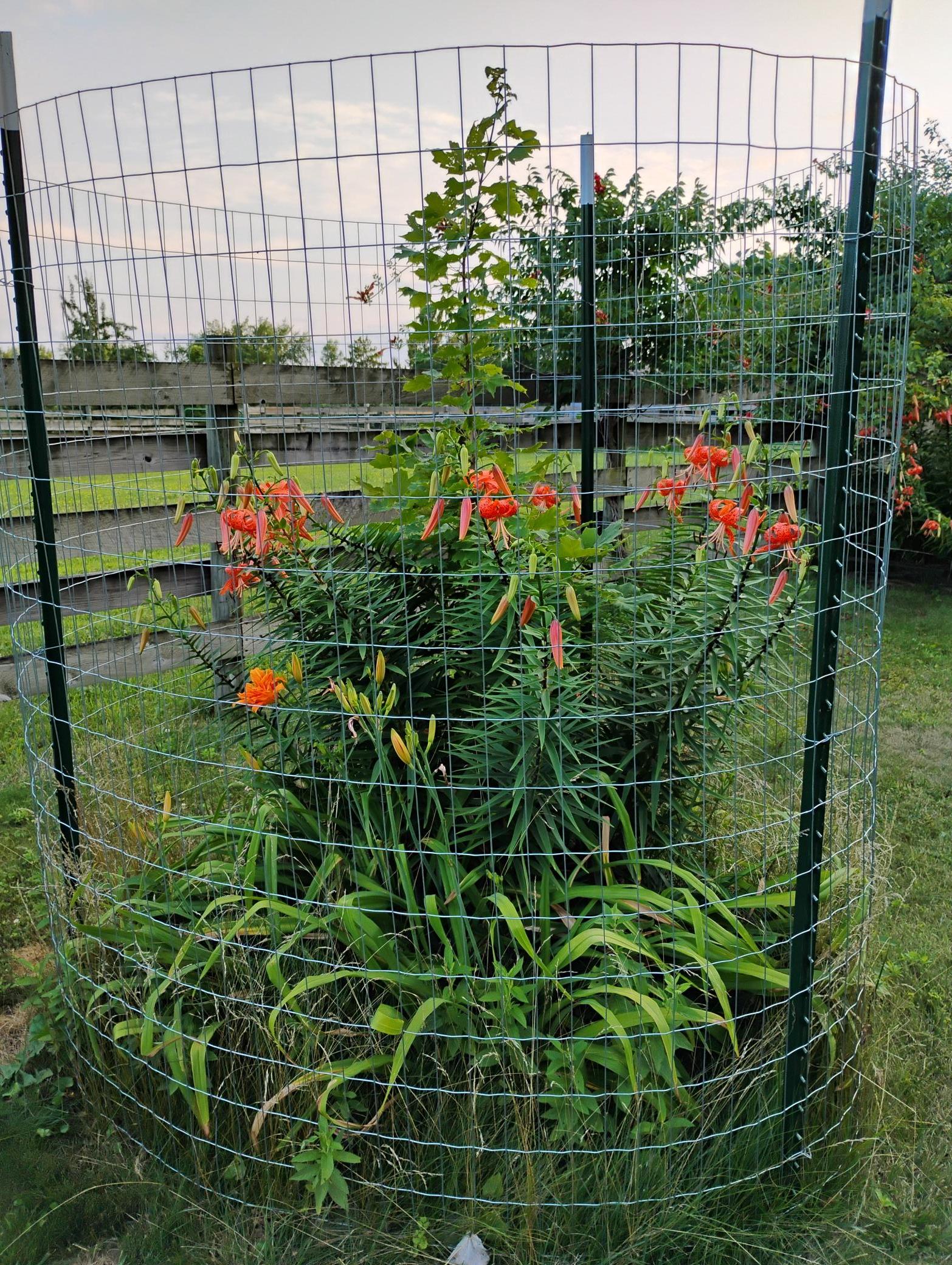 main property photo 96