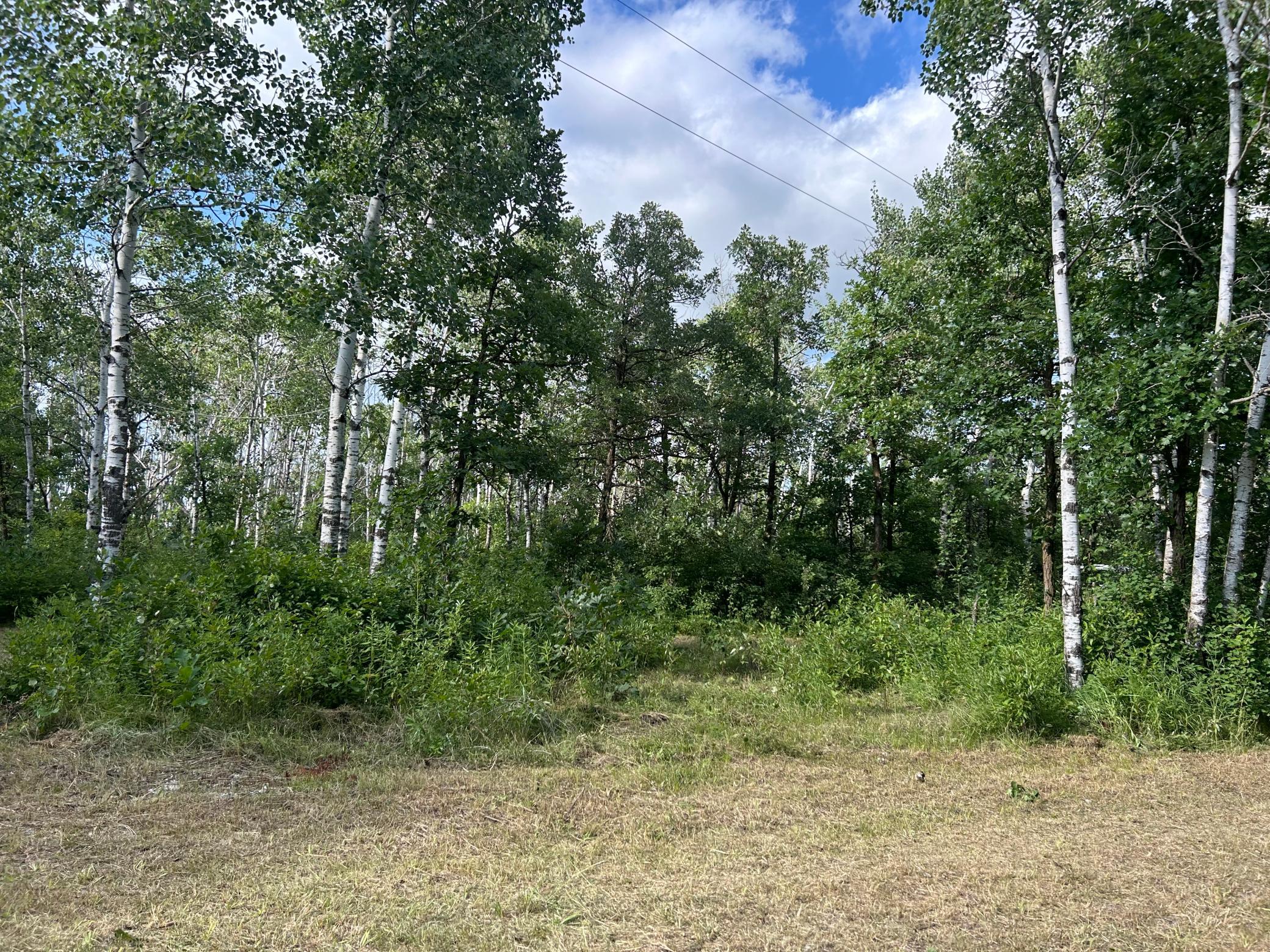 main property photo 20