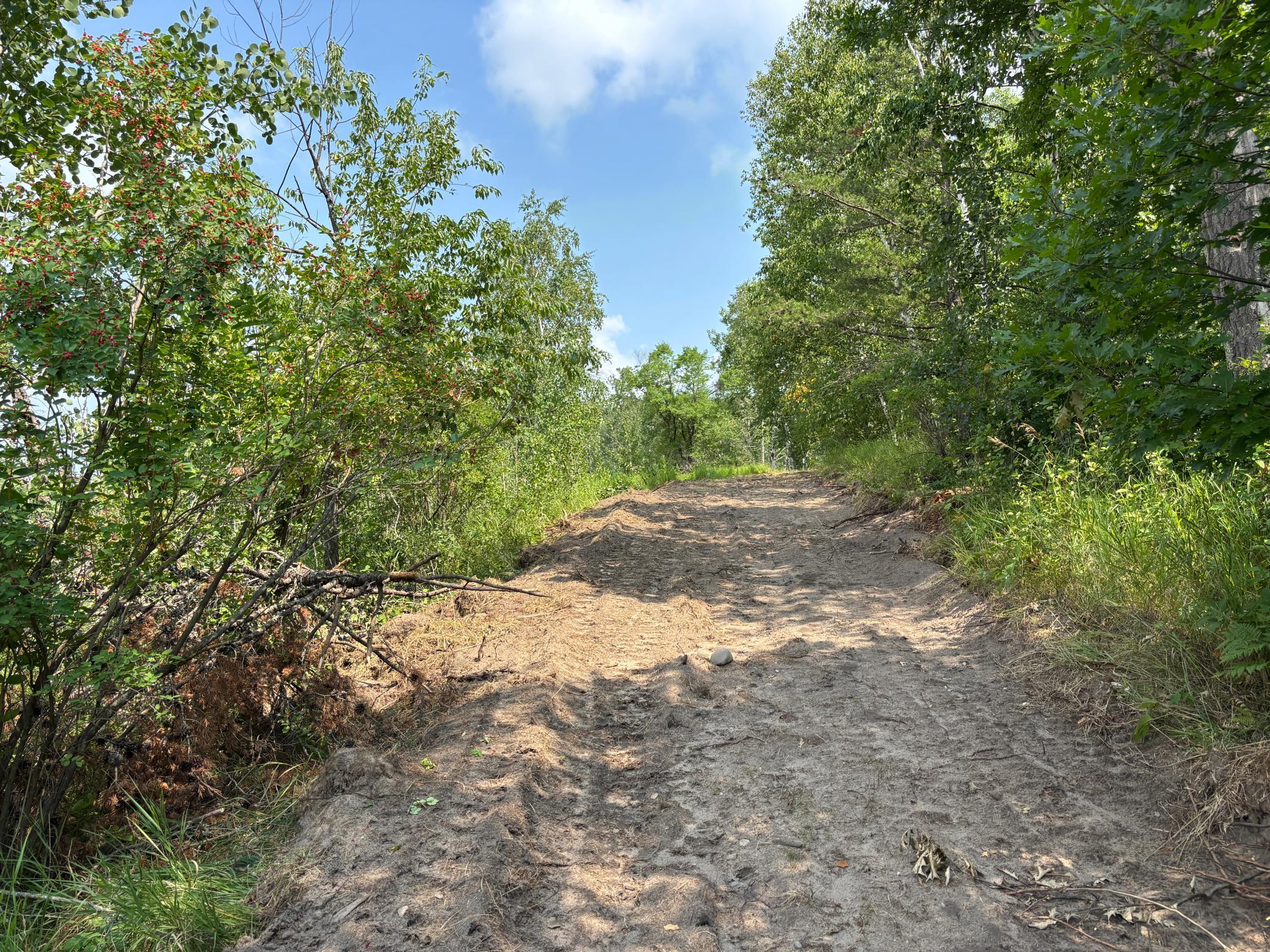 main property photo 8