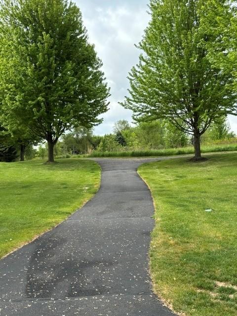 main property photo 55