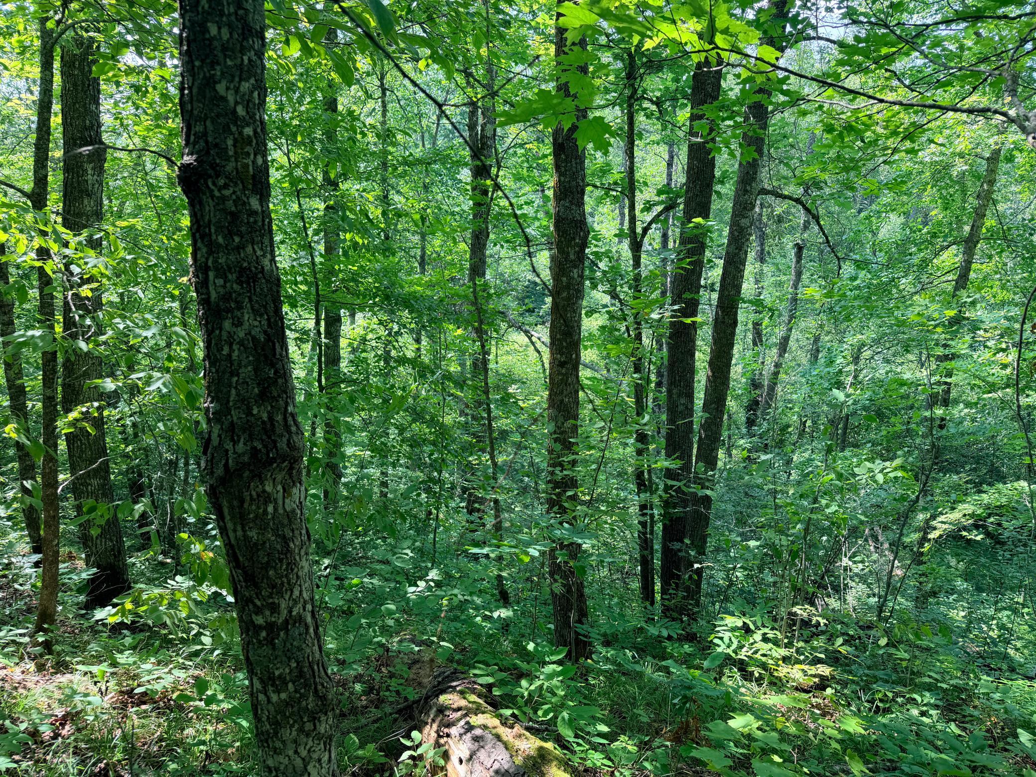 main property photo 11