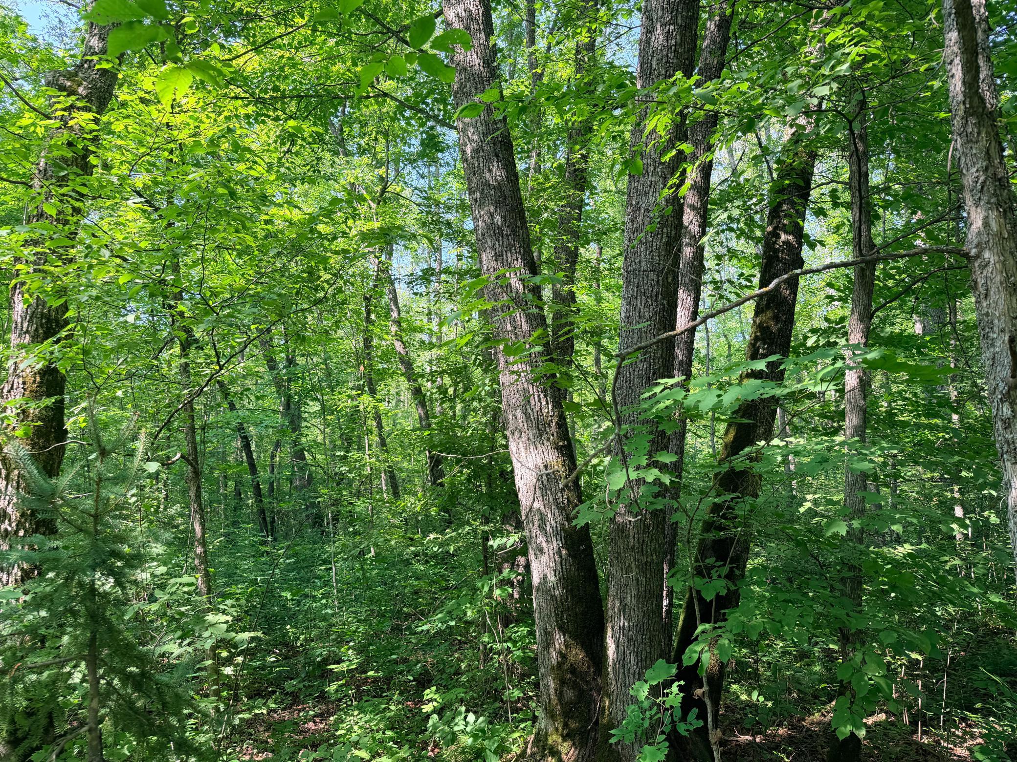 main property photo 24