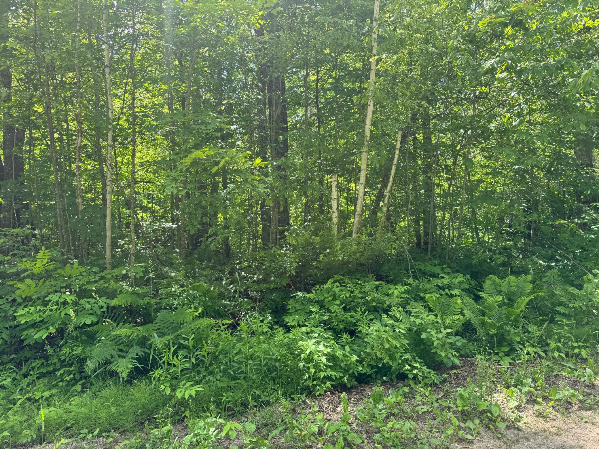 main property photo 51