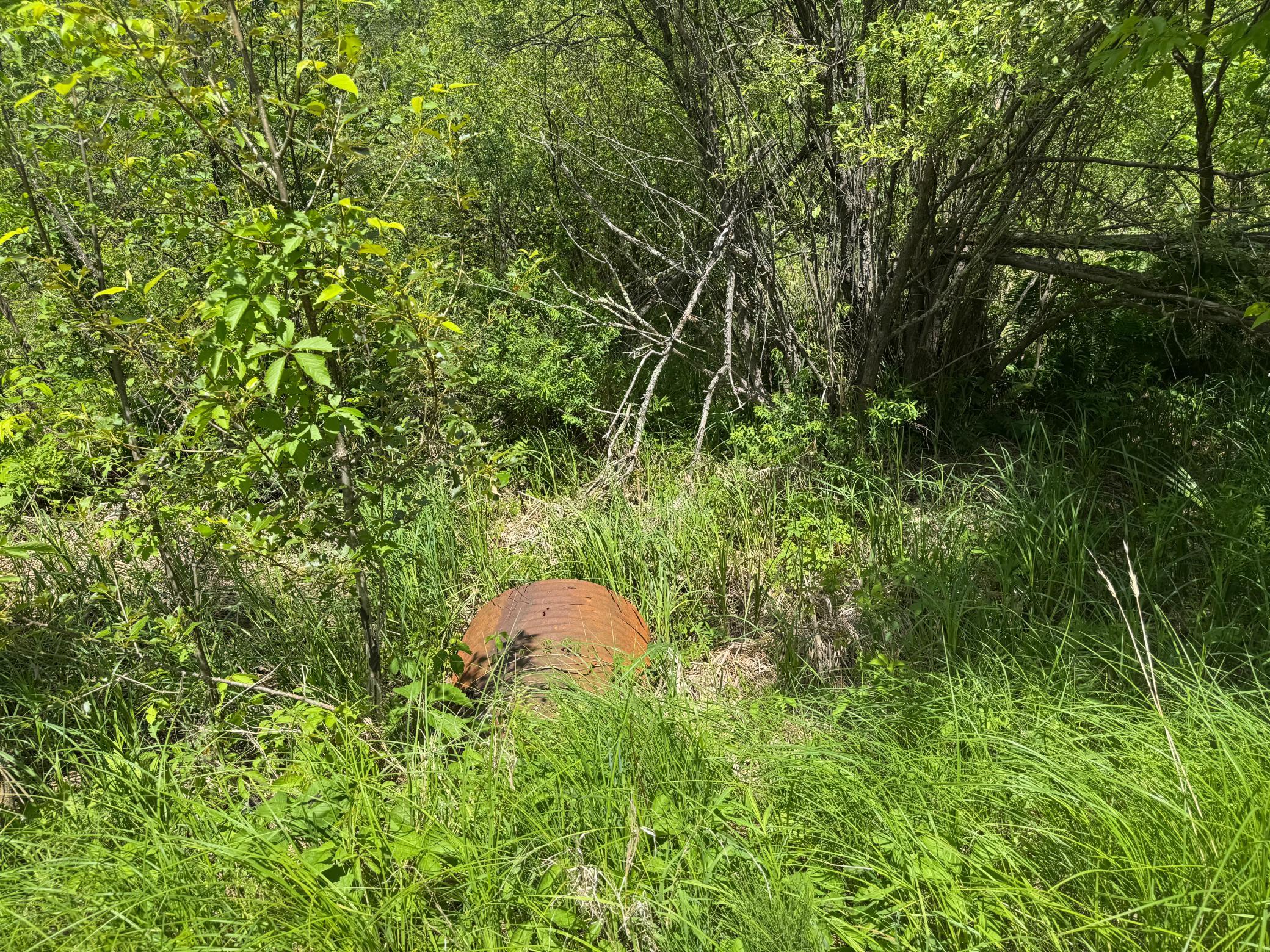 main property photo 54