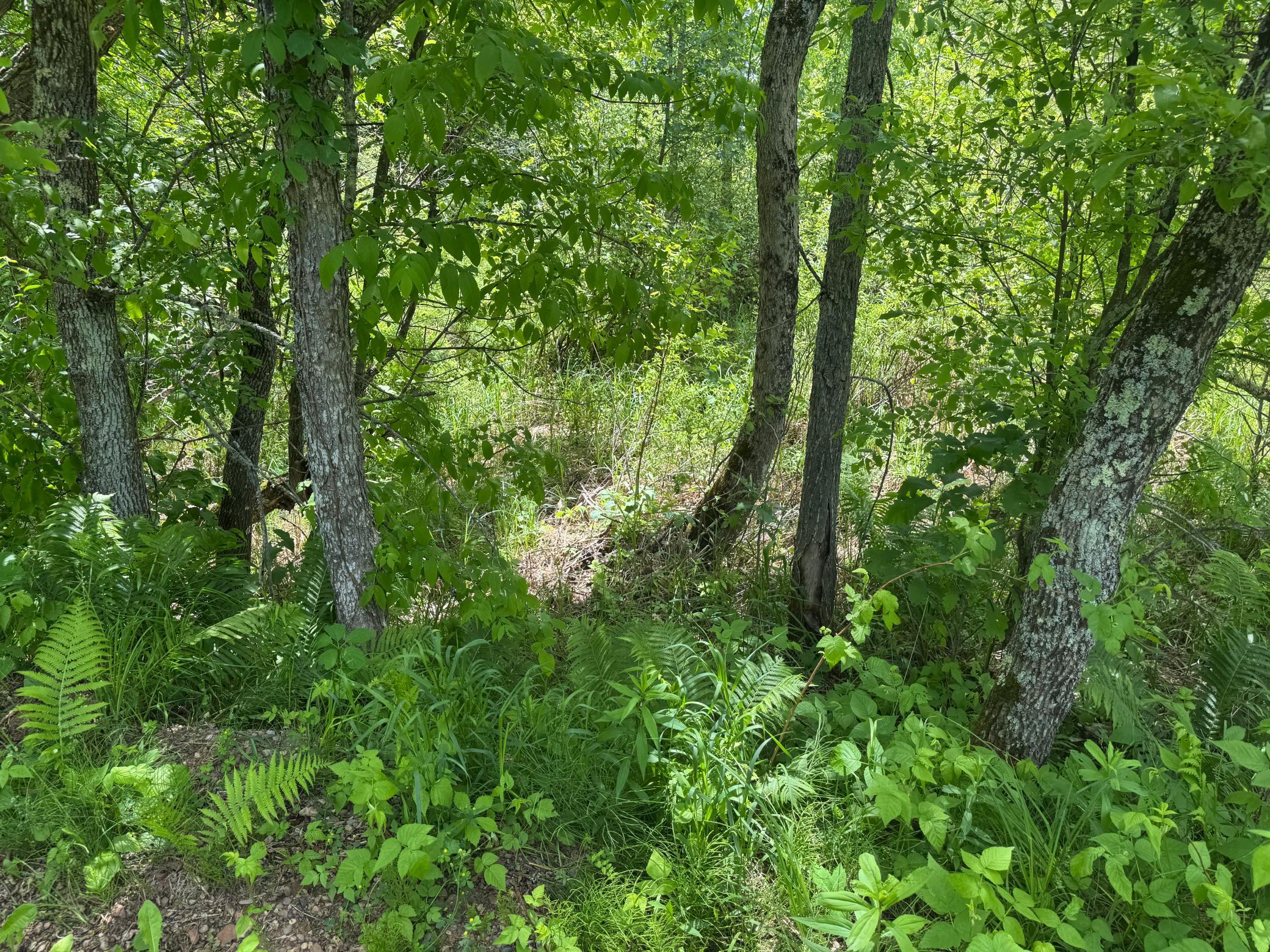 main property photo 56