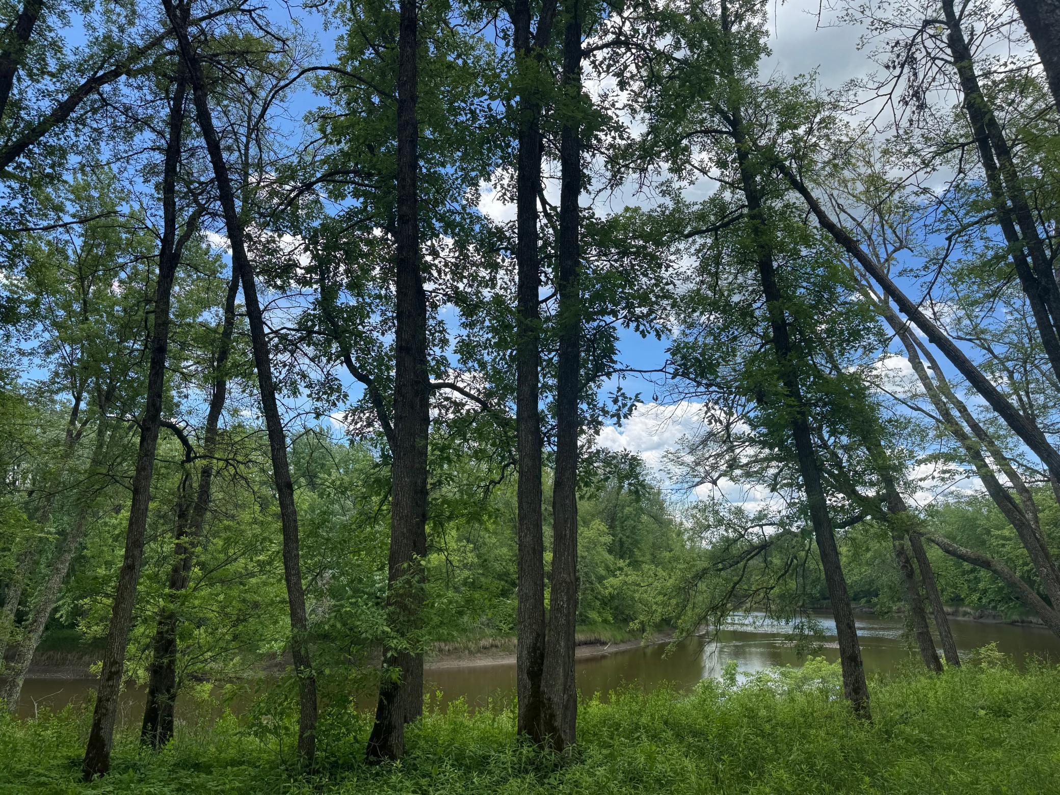 main property photo 62