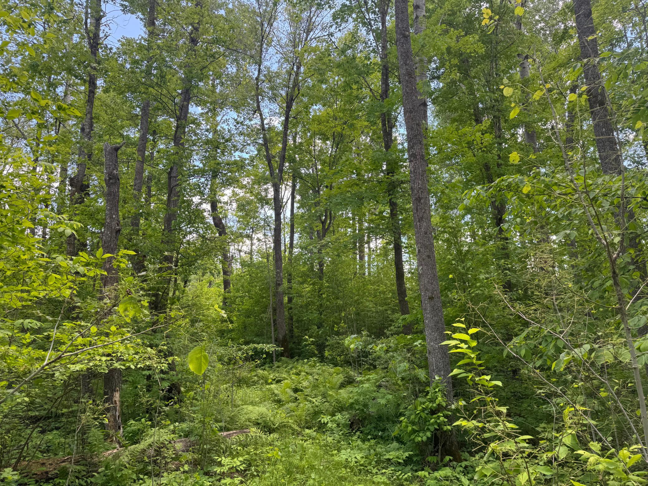 main property photo 73
