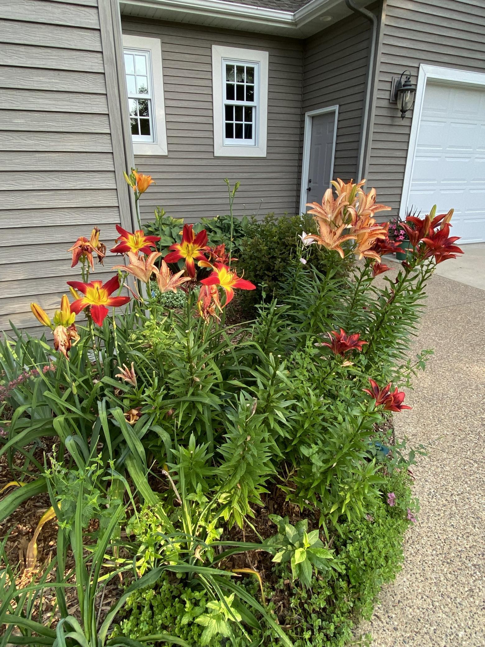 main property photo 91
