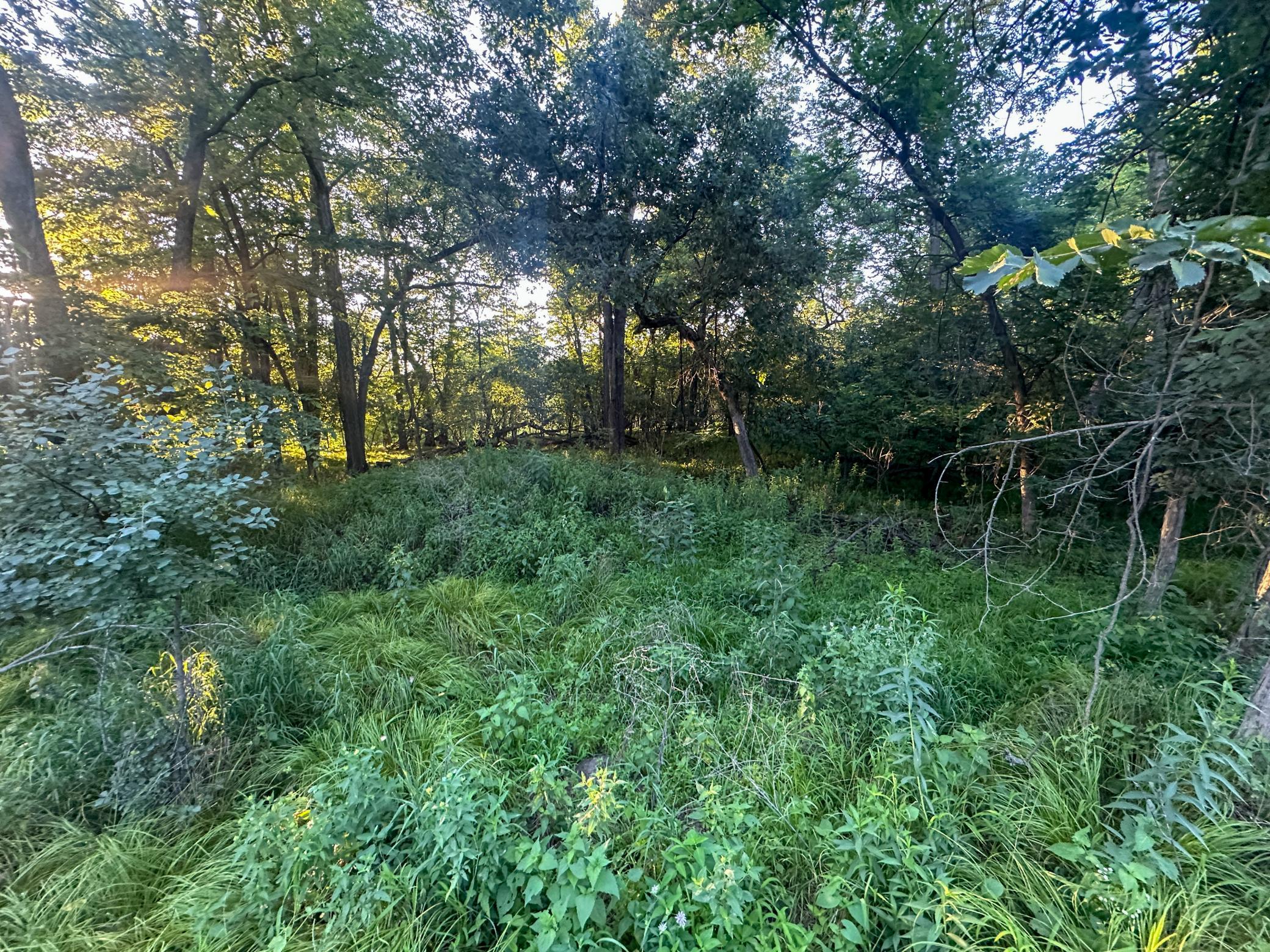 main property photo 13