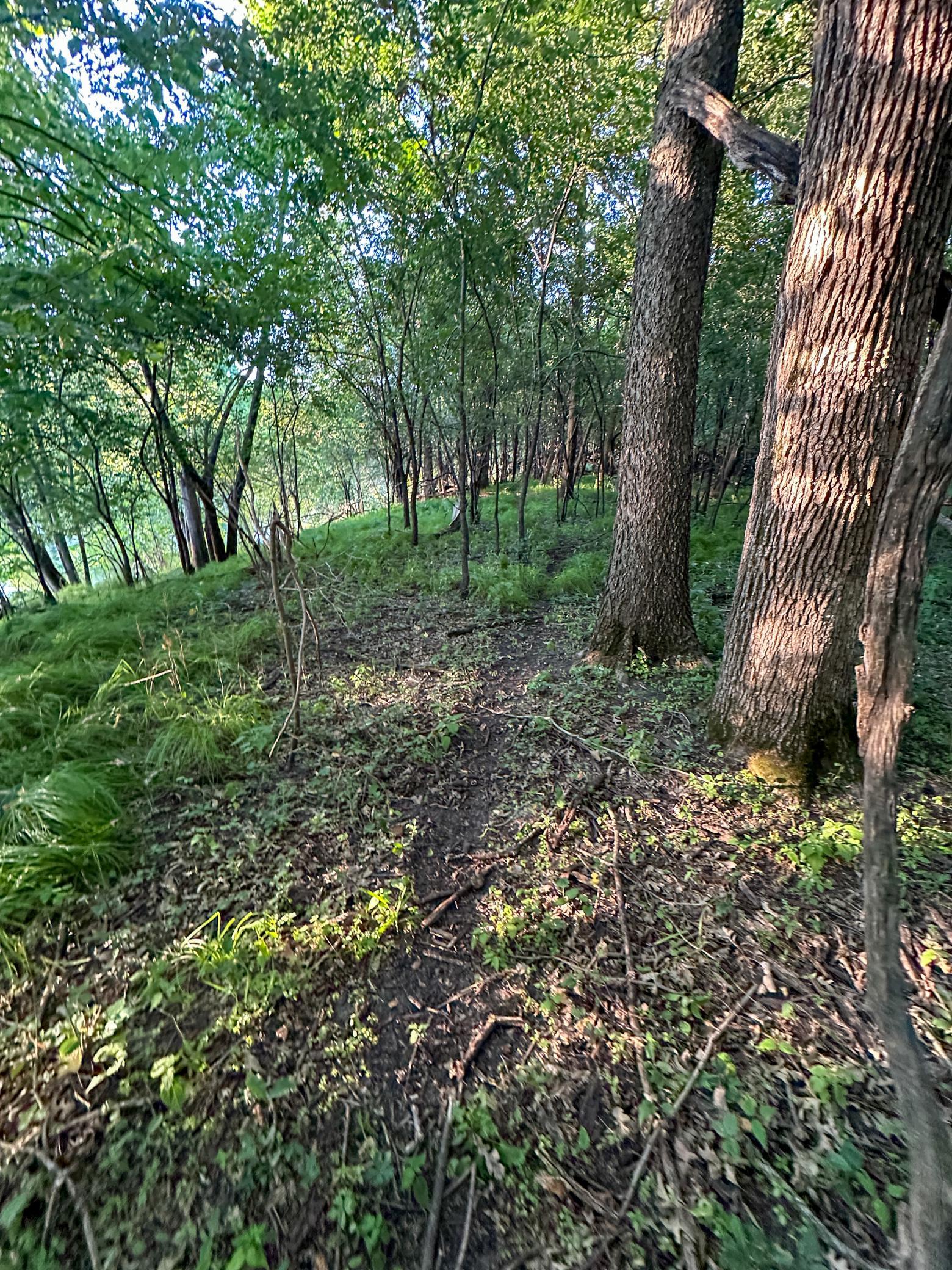 main property photo 15