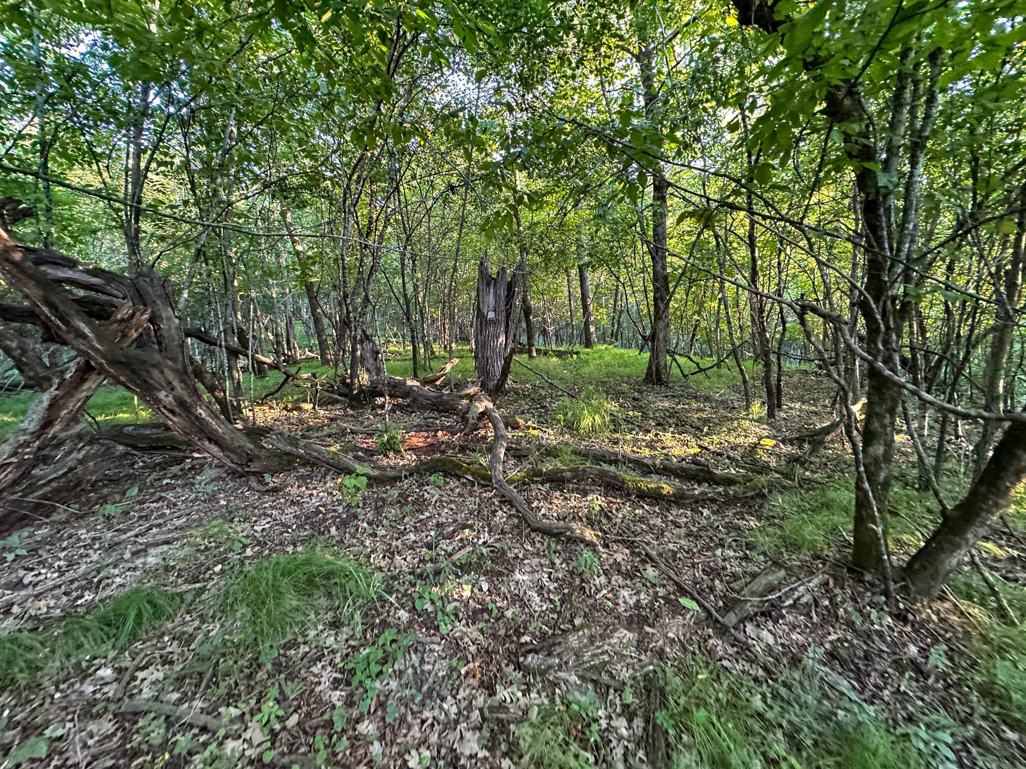 main property photo 22