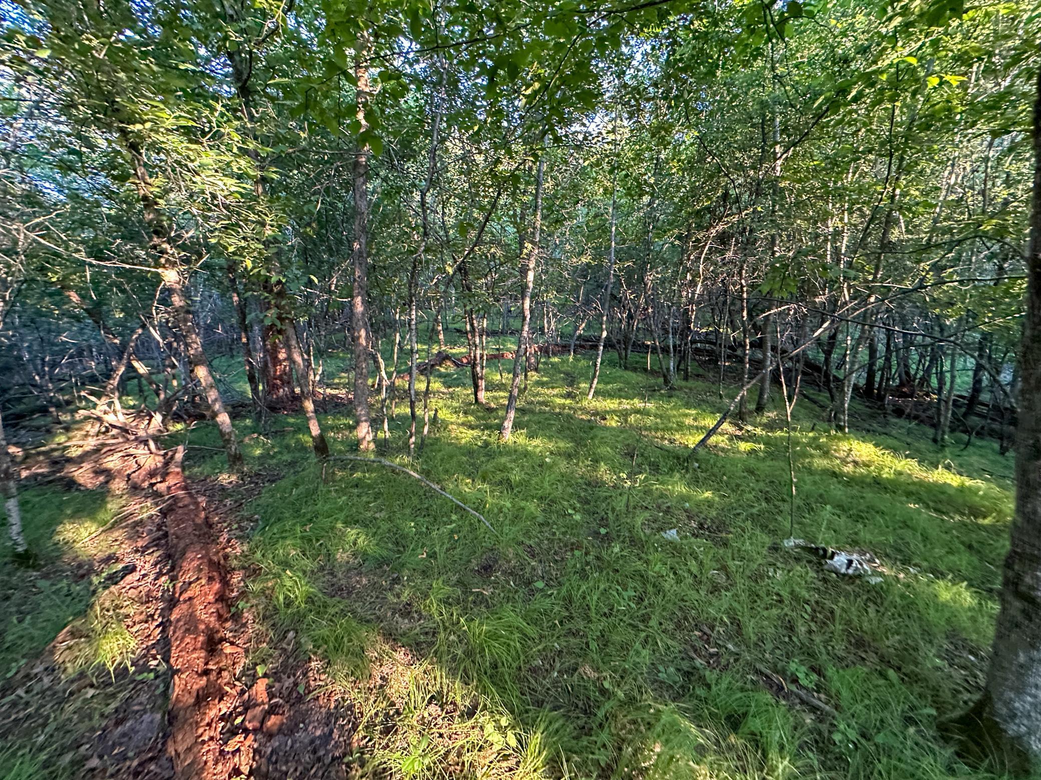 main property photo 24