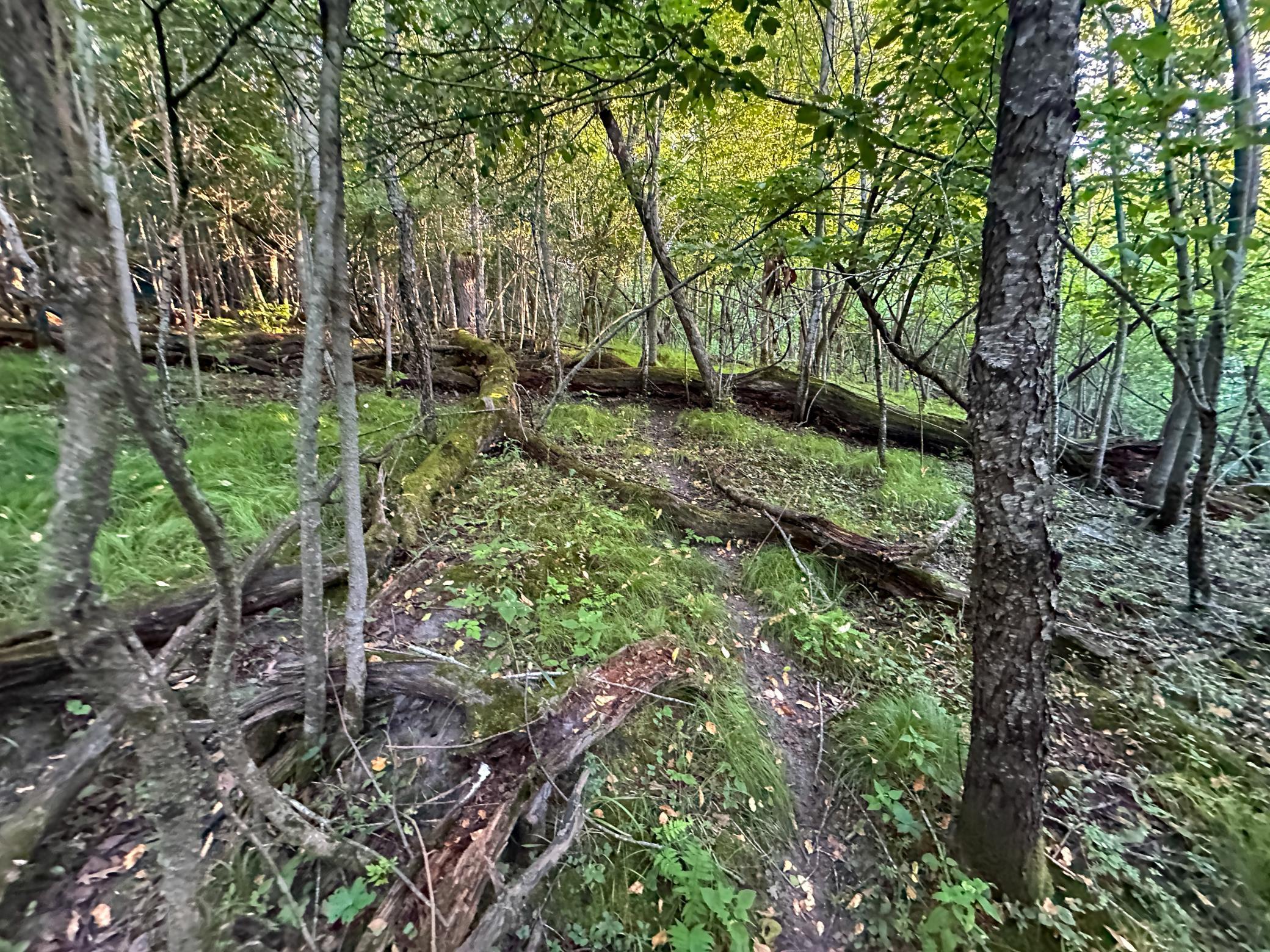 main property photo 25