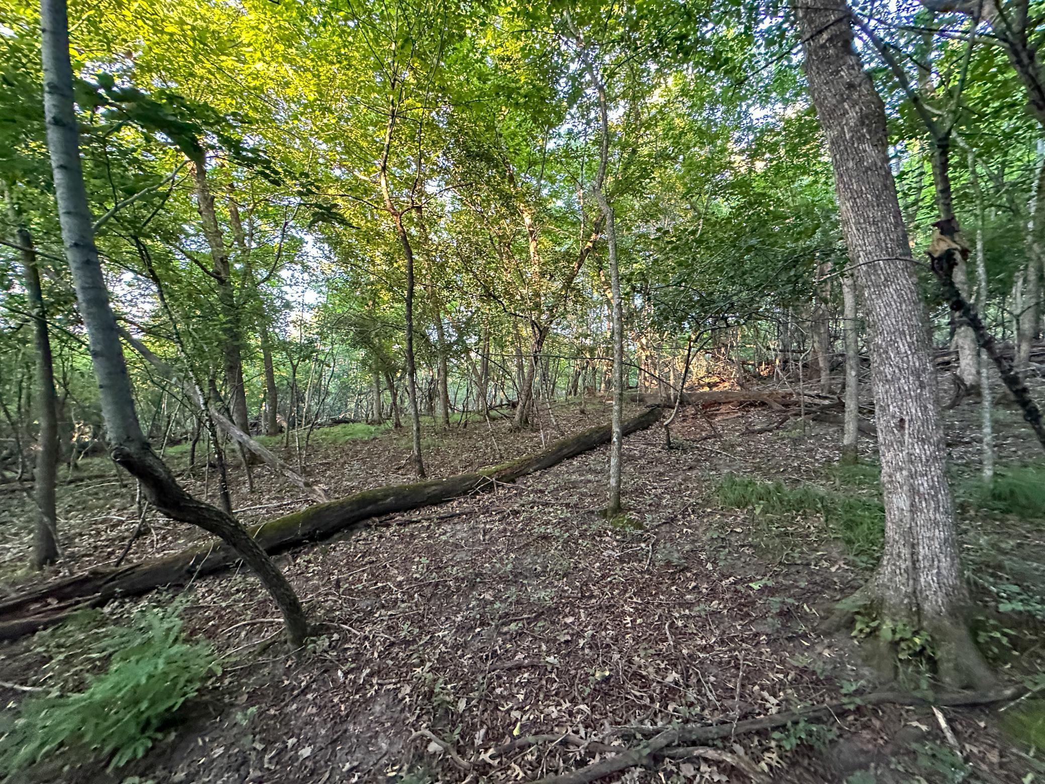 main property photo 28