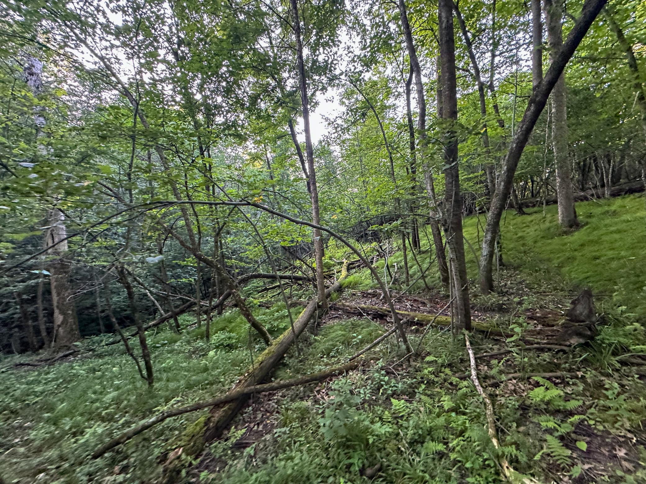 main property photo 31