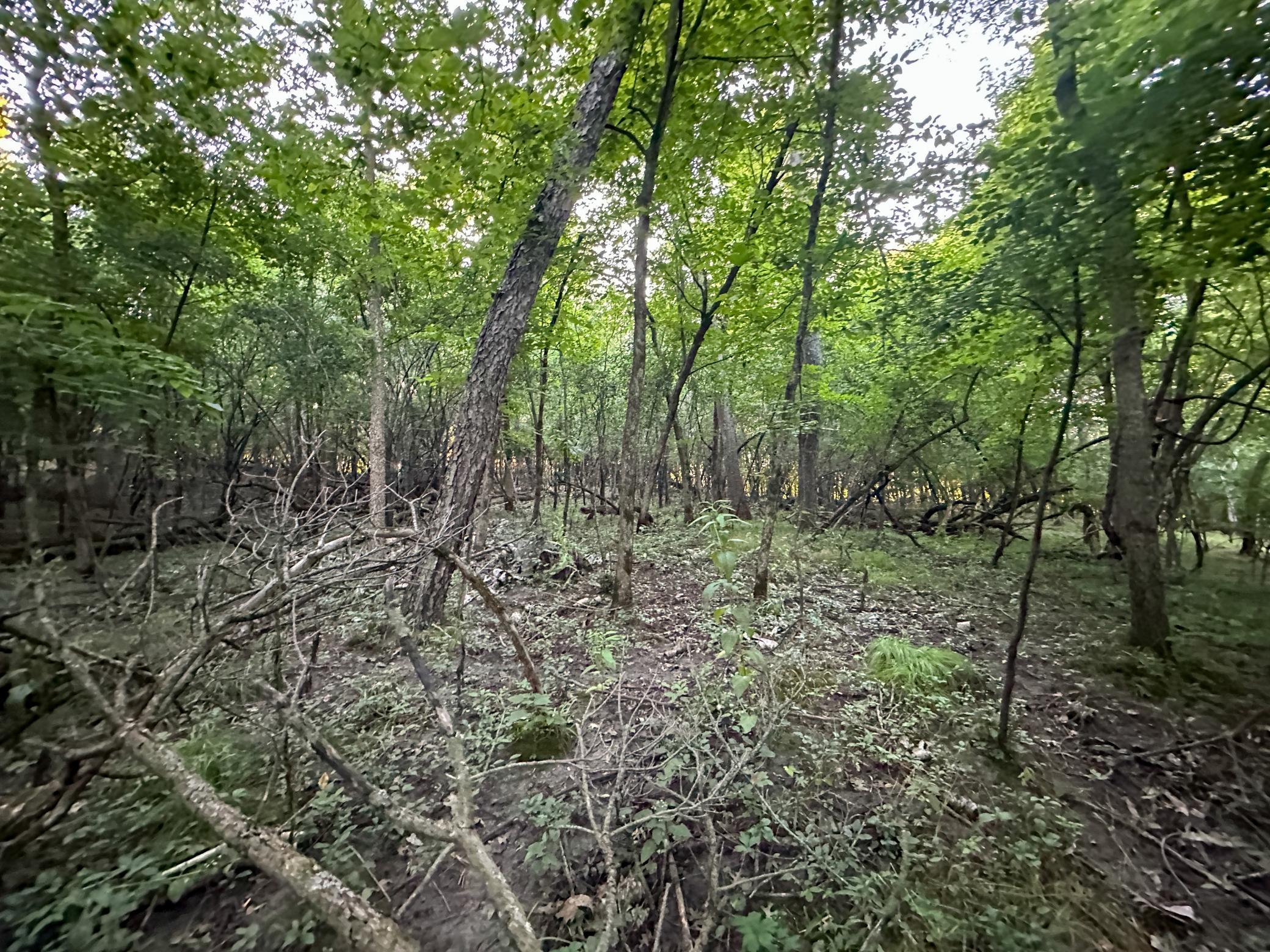 main property photo 35
