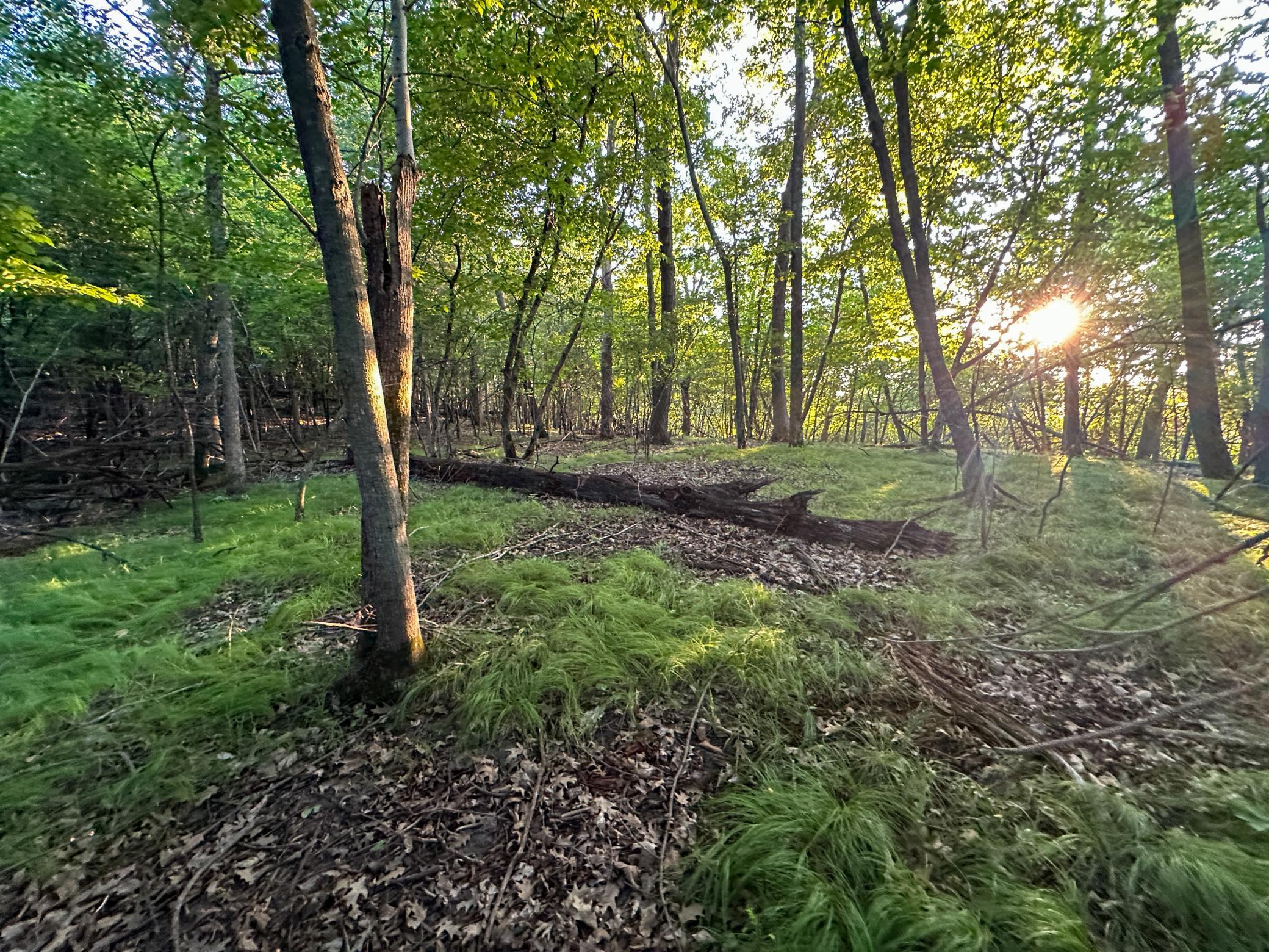 main property photo 39