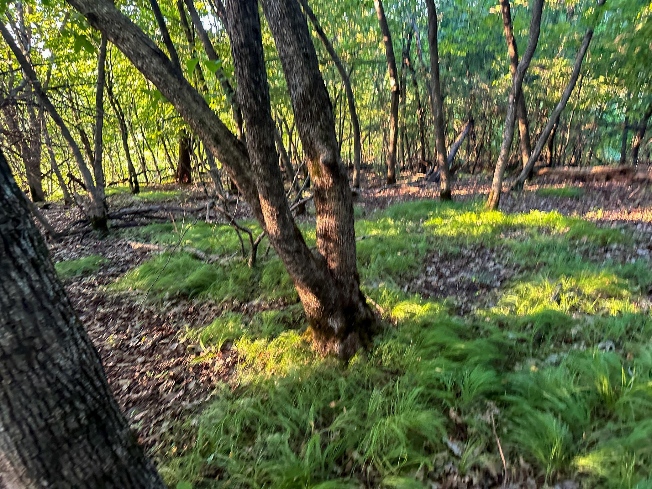 main property photo 40