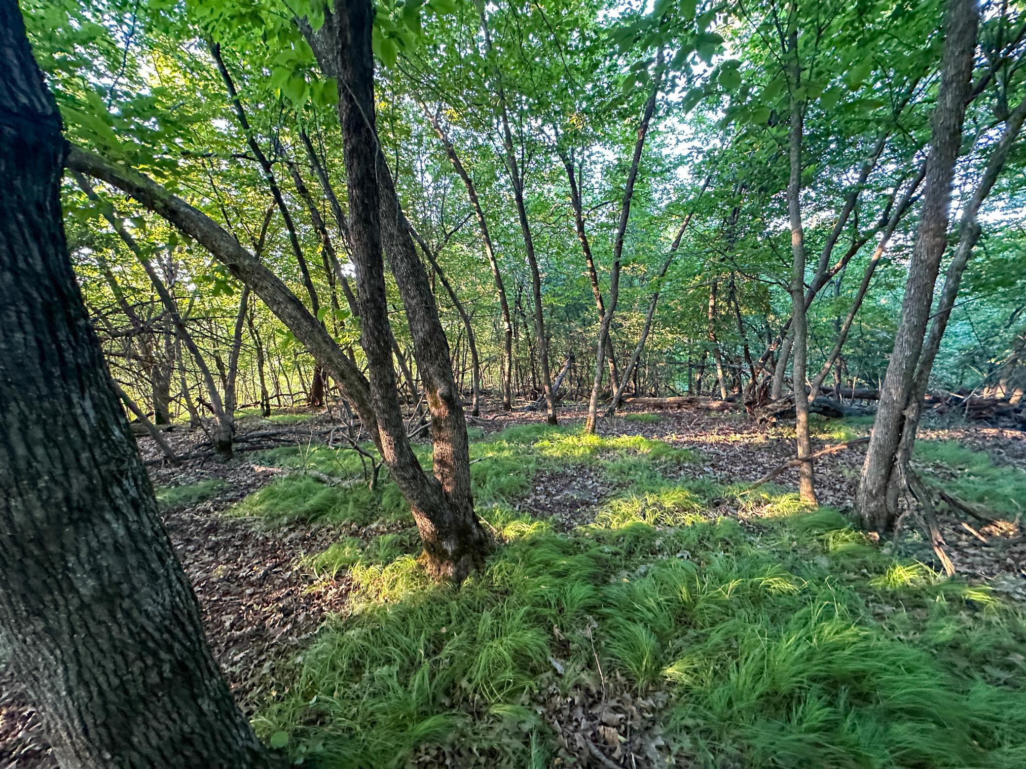 main property photo 41