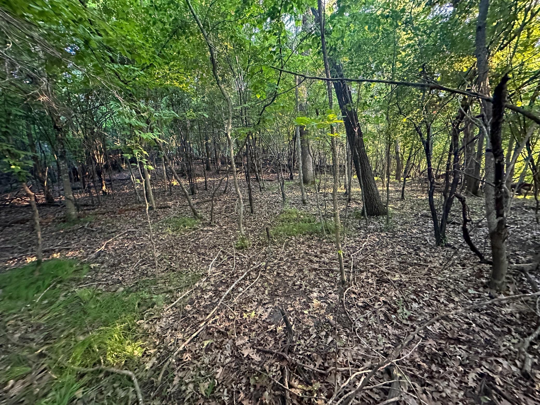 main property photo 42