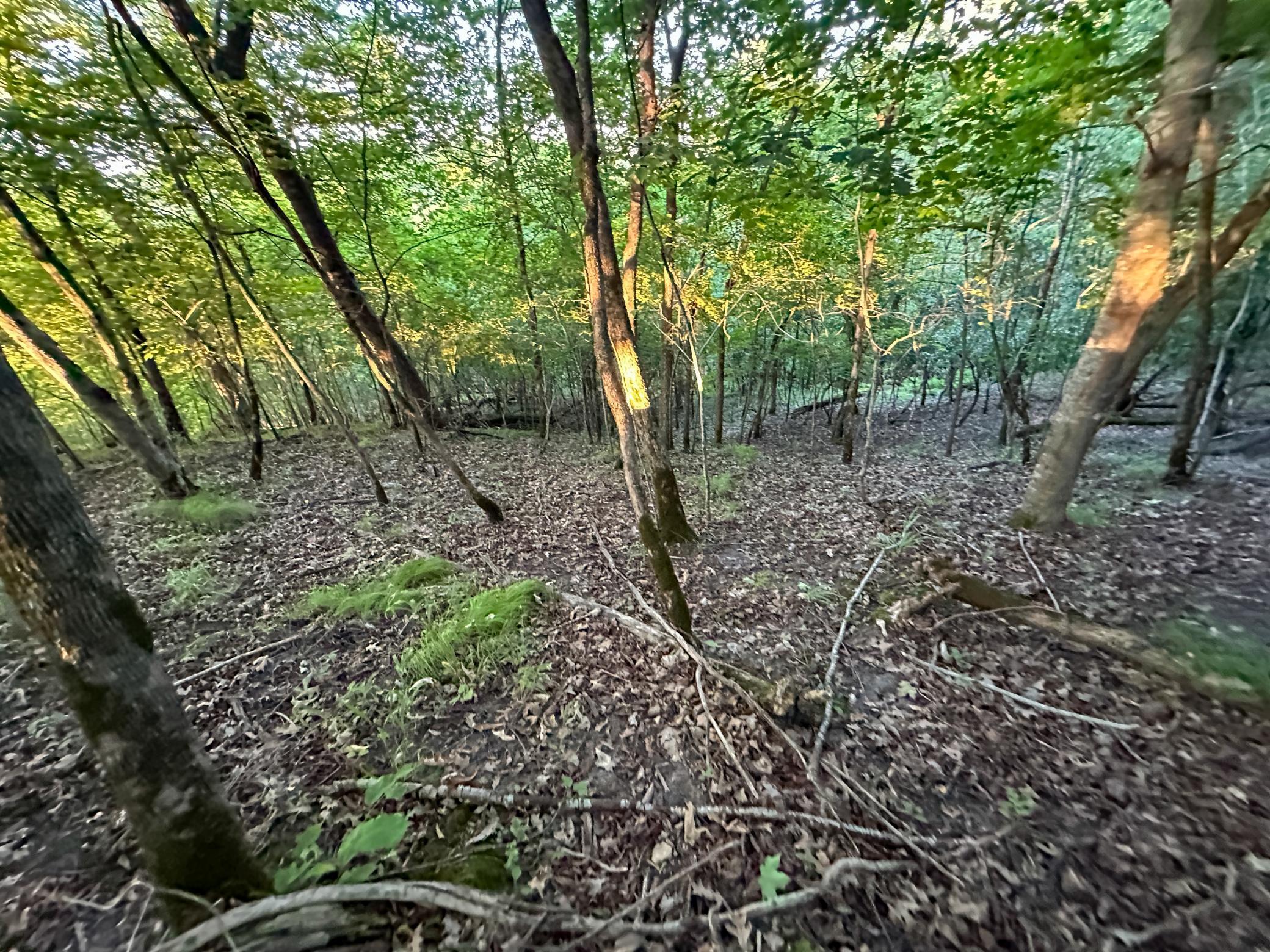 main property photo 43