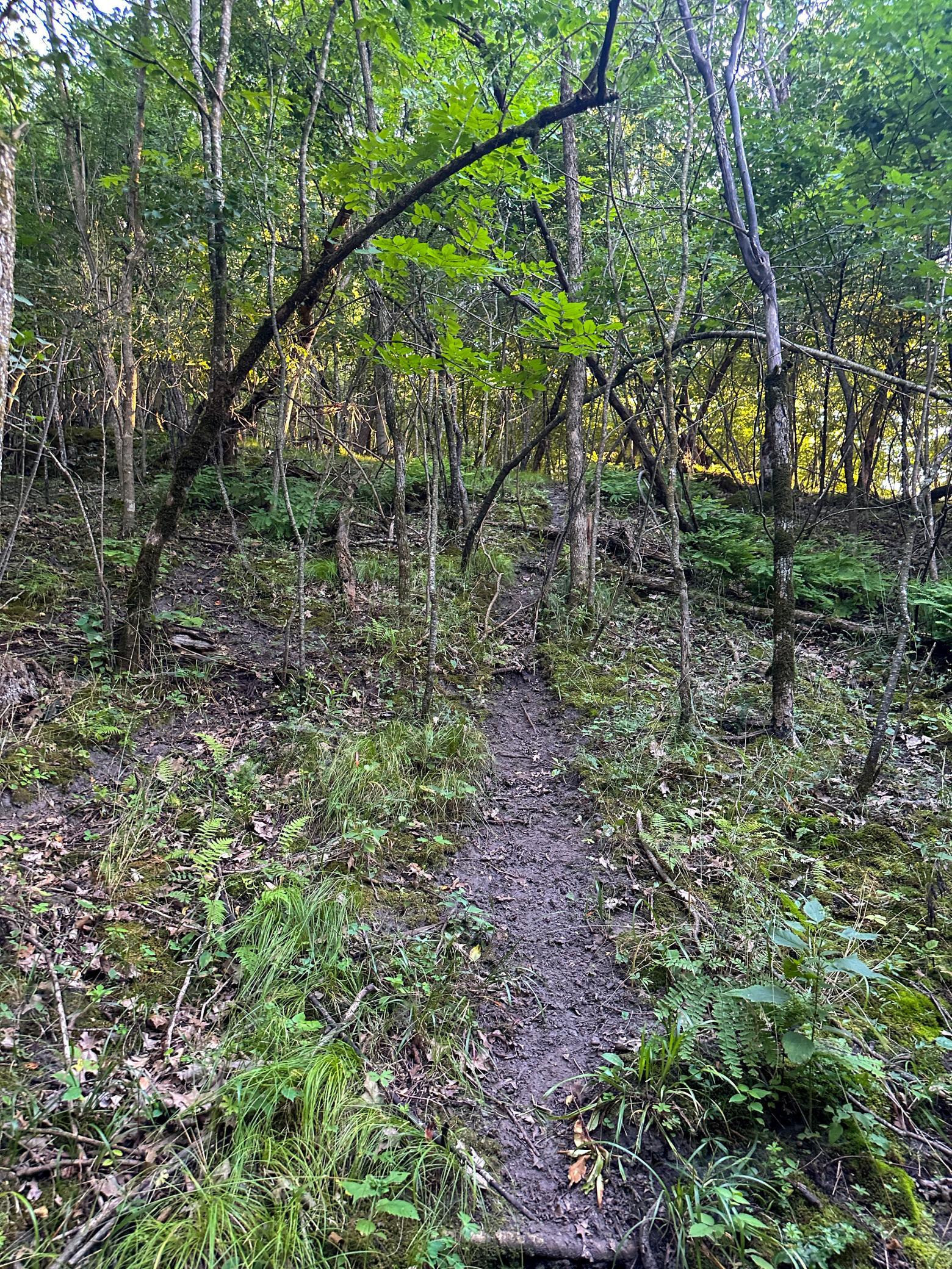 main property photo 44