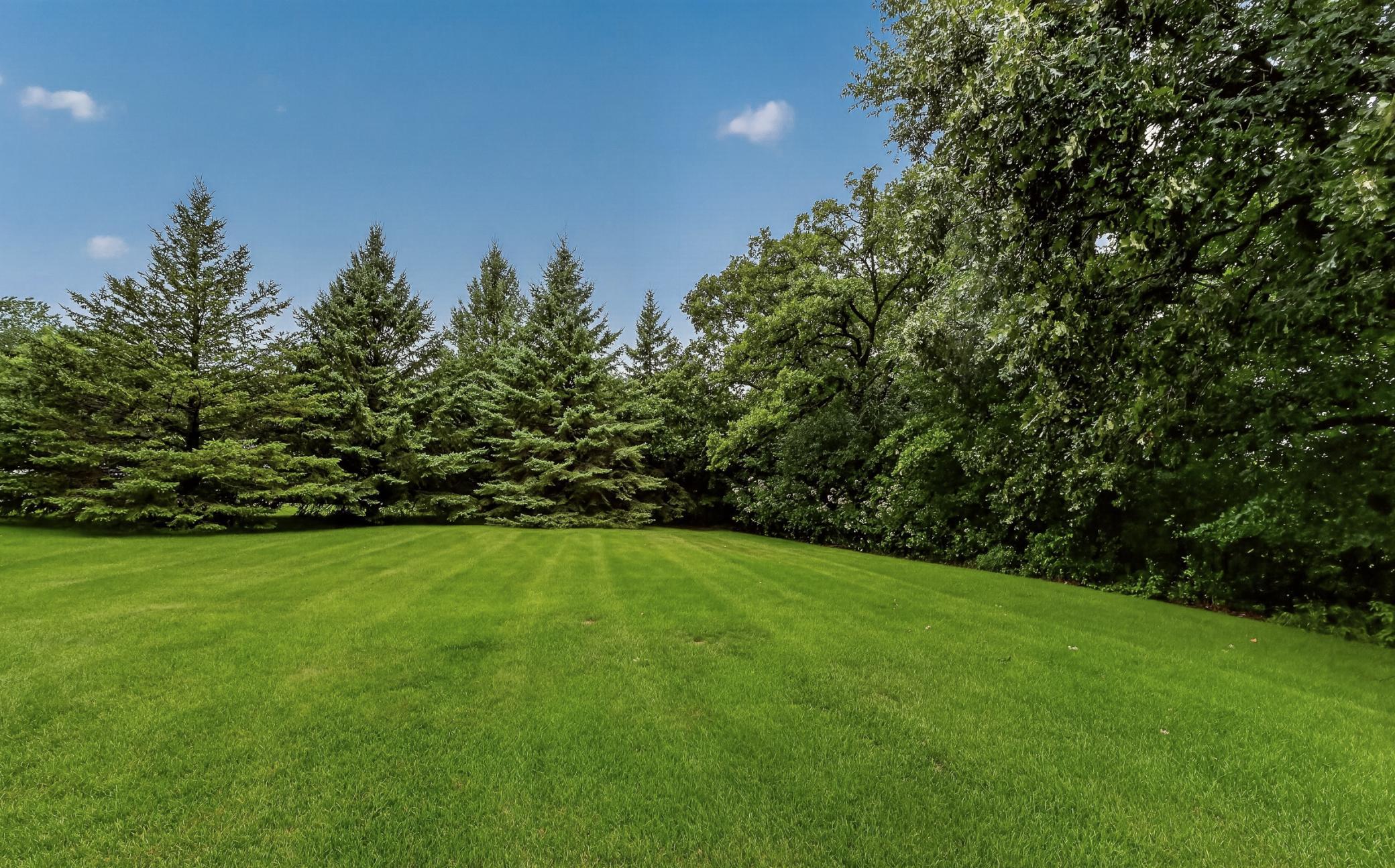 main property photo 56