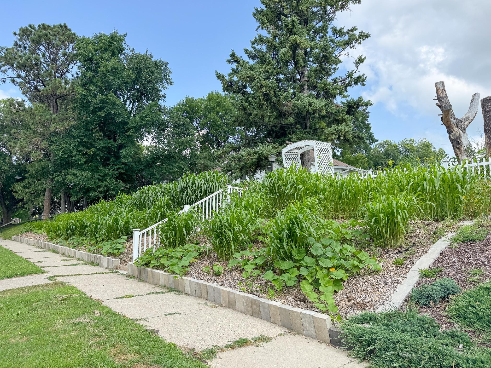 main property photo 47