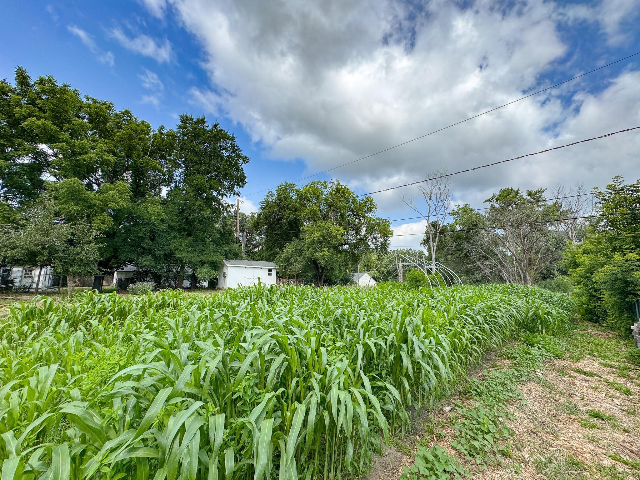 main property photo 48