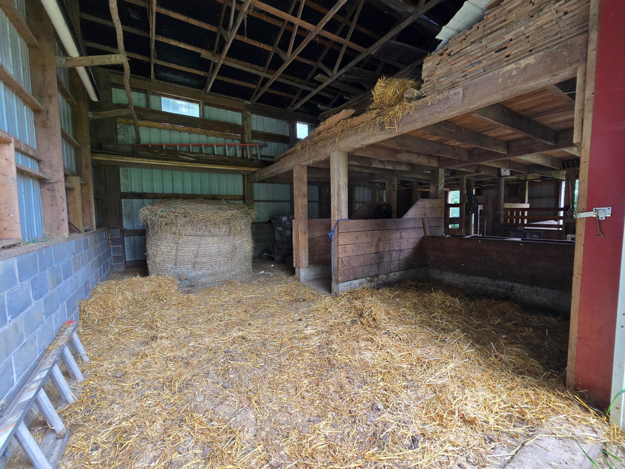 main property photo 38
