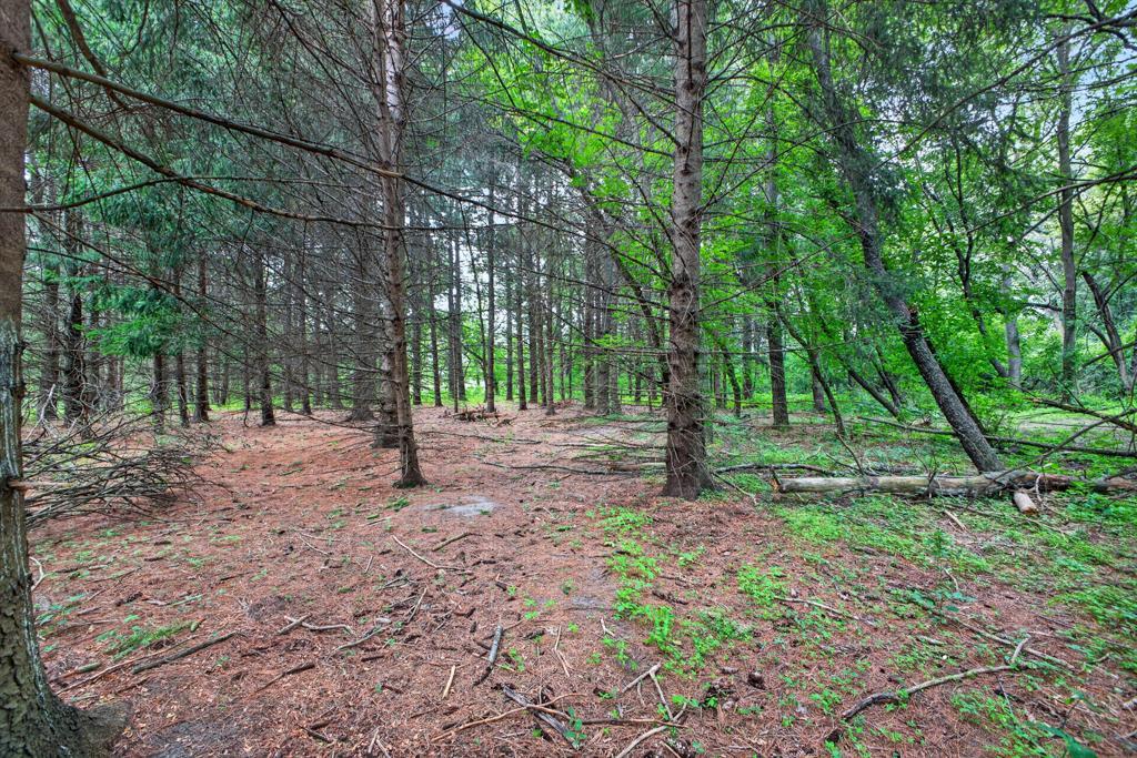 main property photo 51