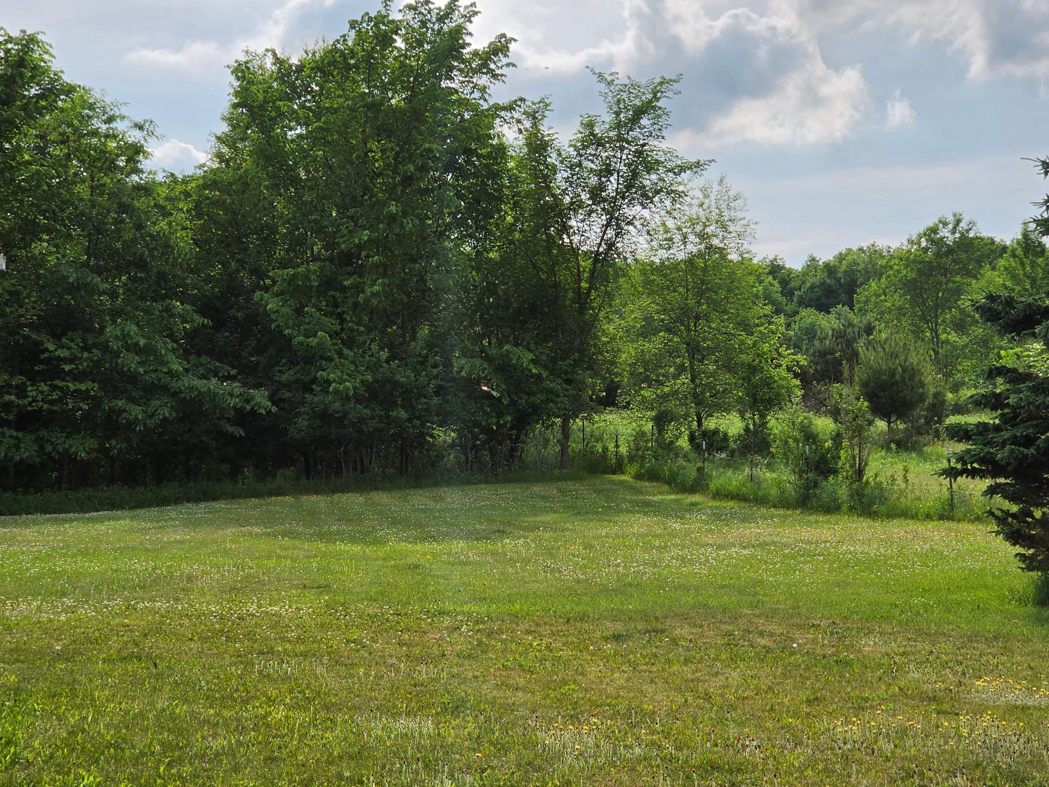 main property photo 58