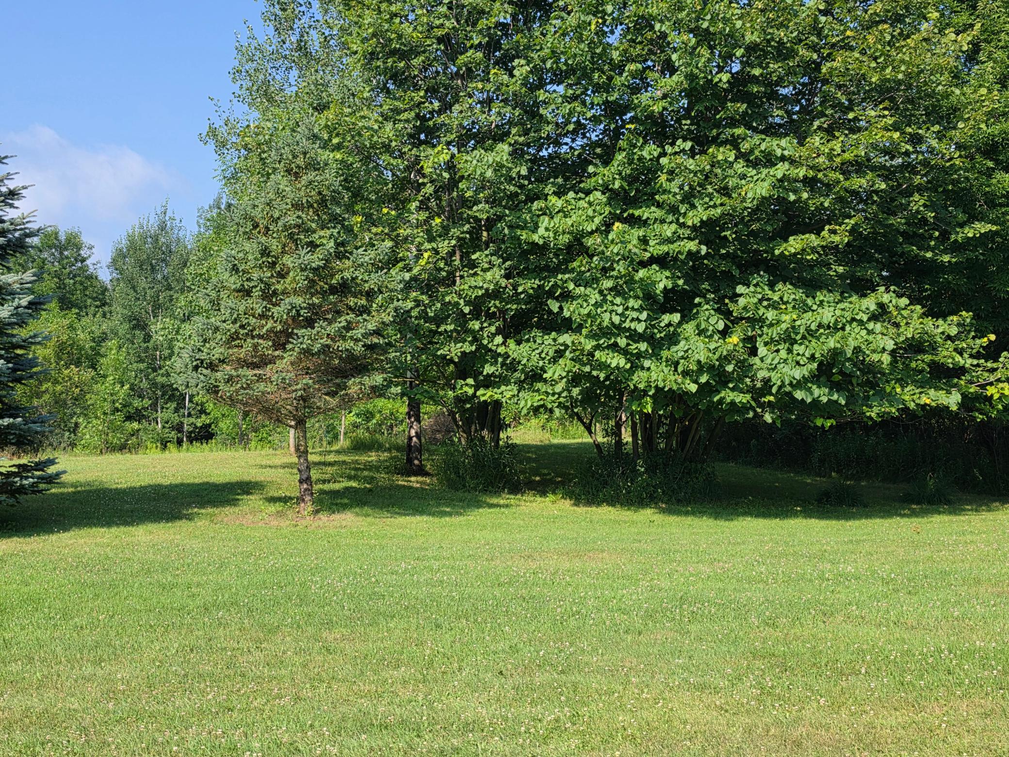 main property photo 59