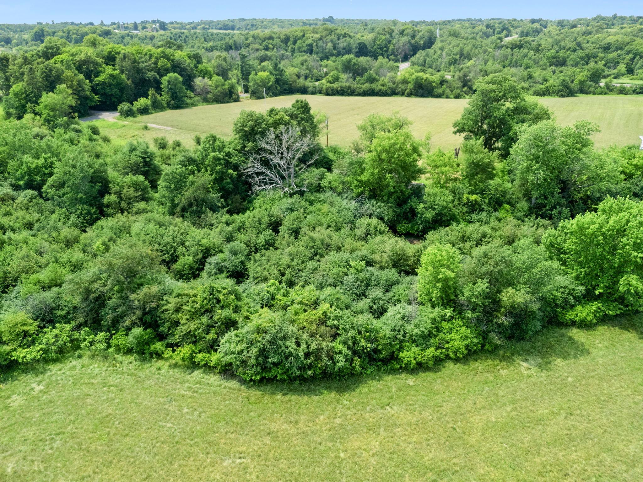 main property photo 50