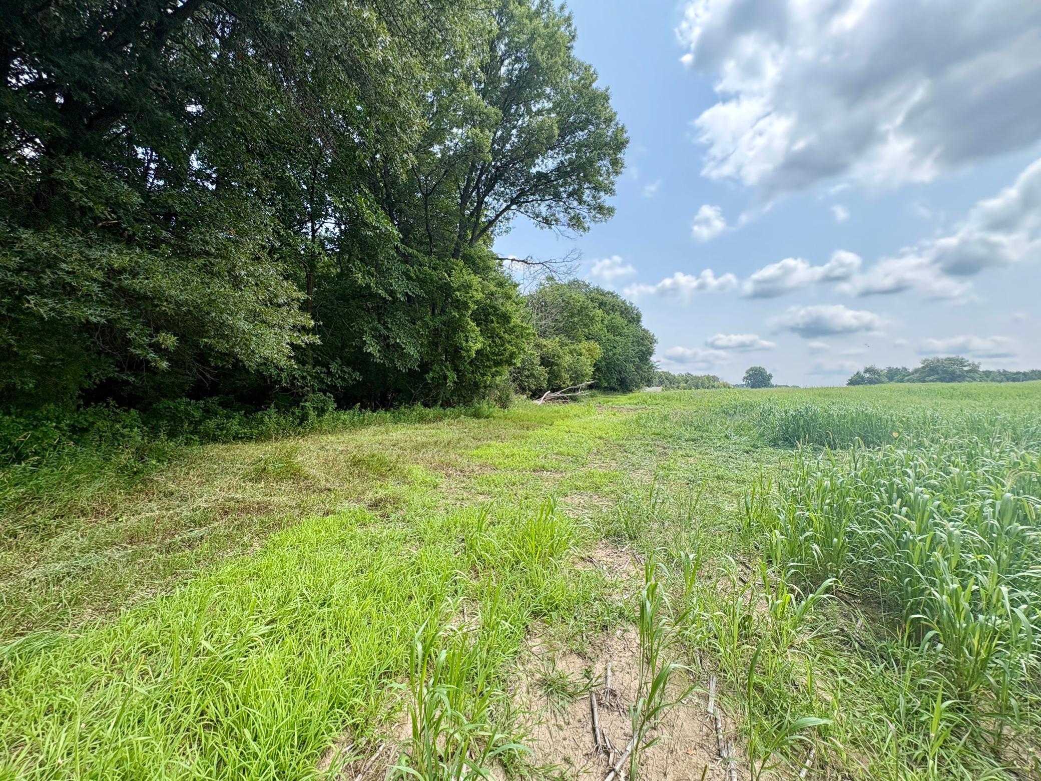main property photo 0