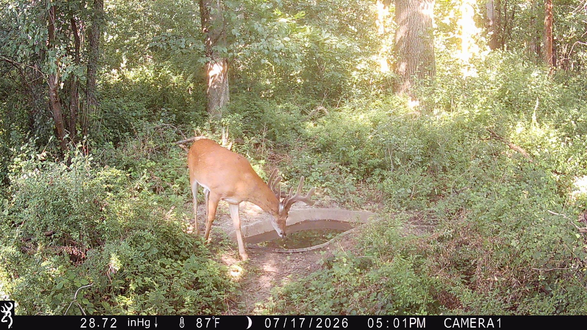 main property photo 11