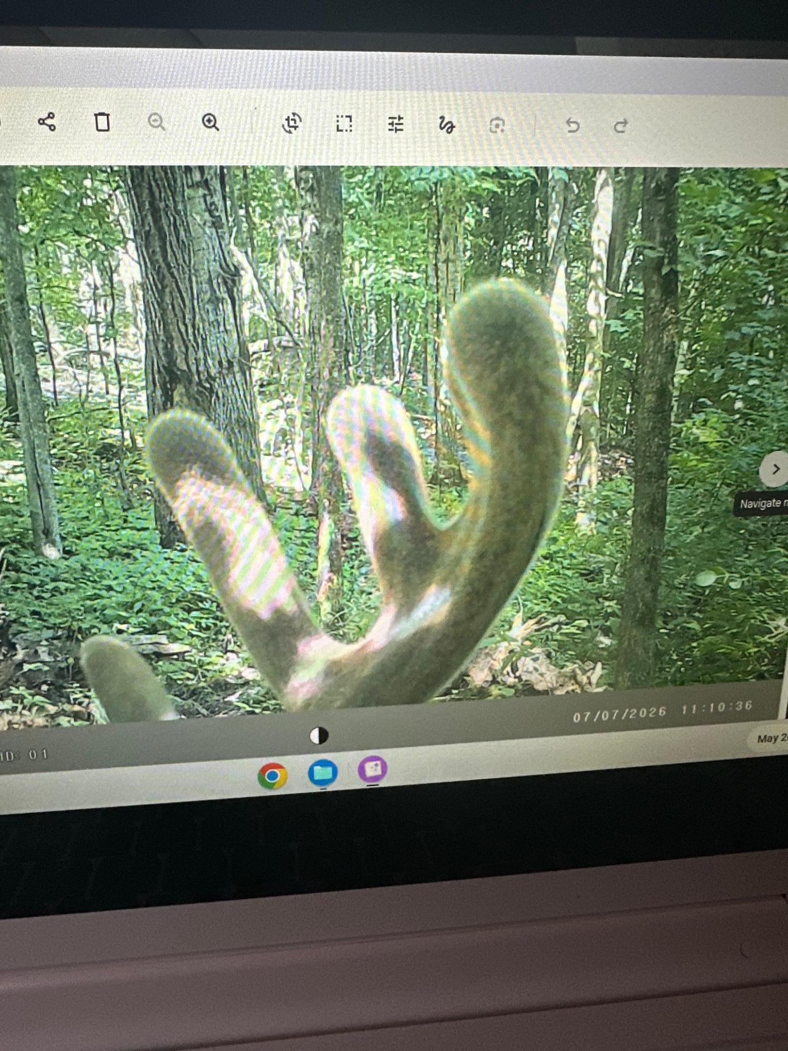 main property photo 15