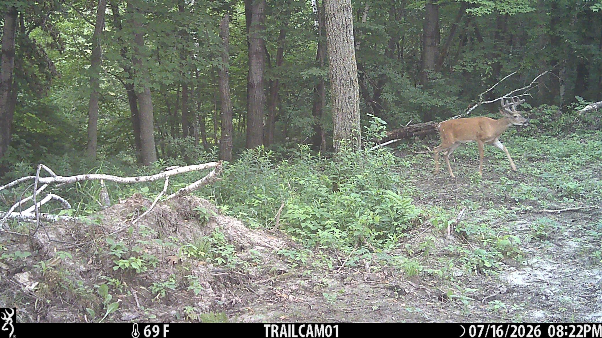 main property photo 16
