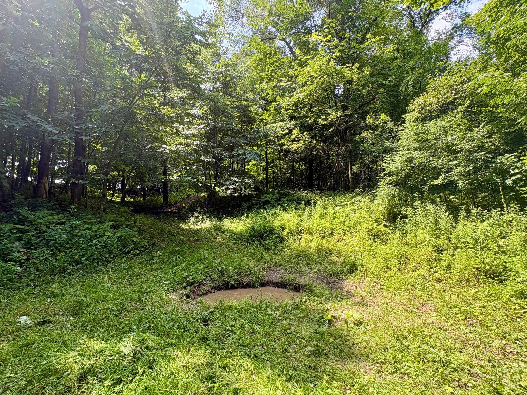 main property photo 34