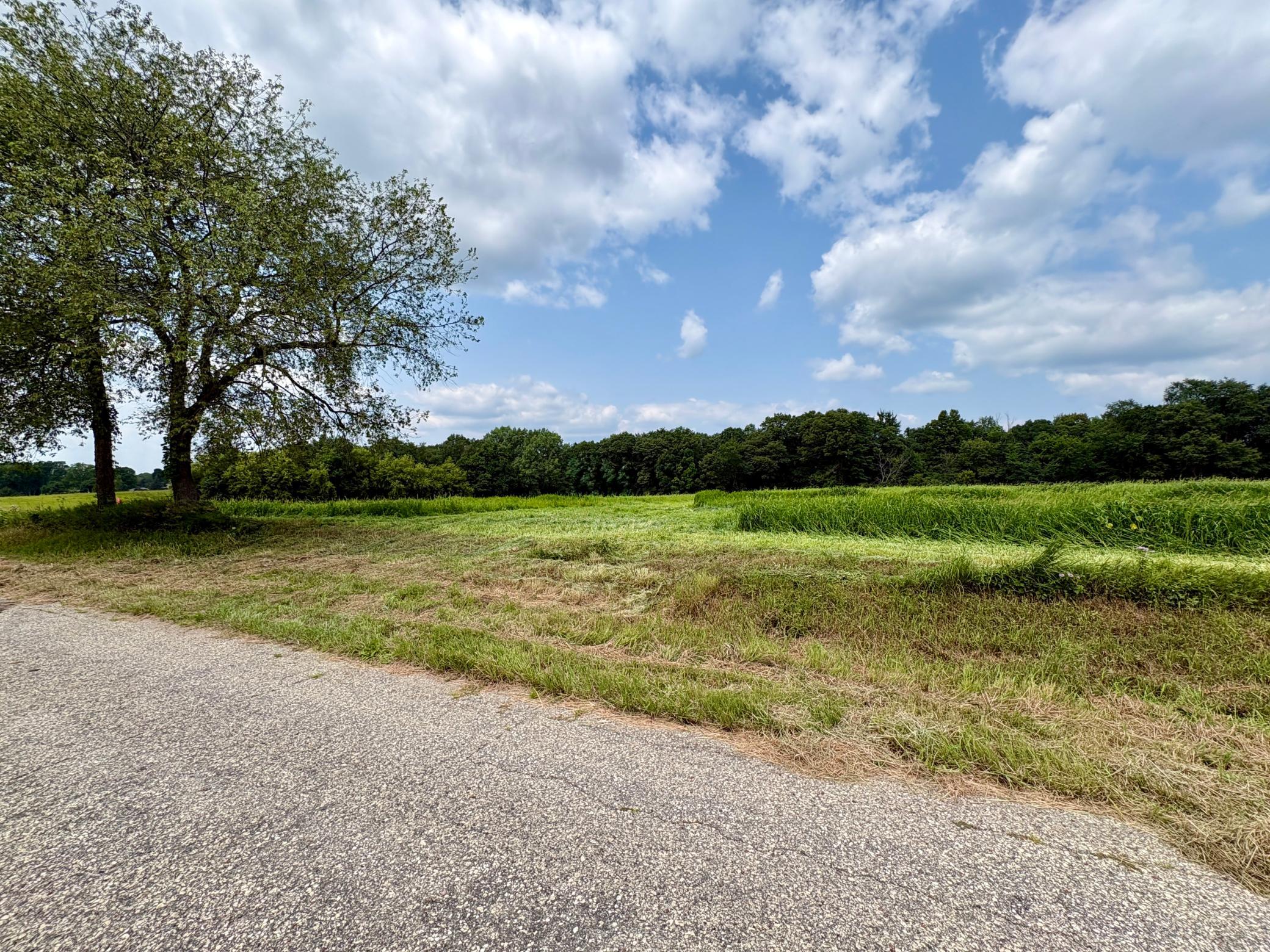 main property photo 44