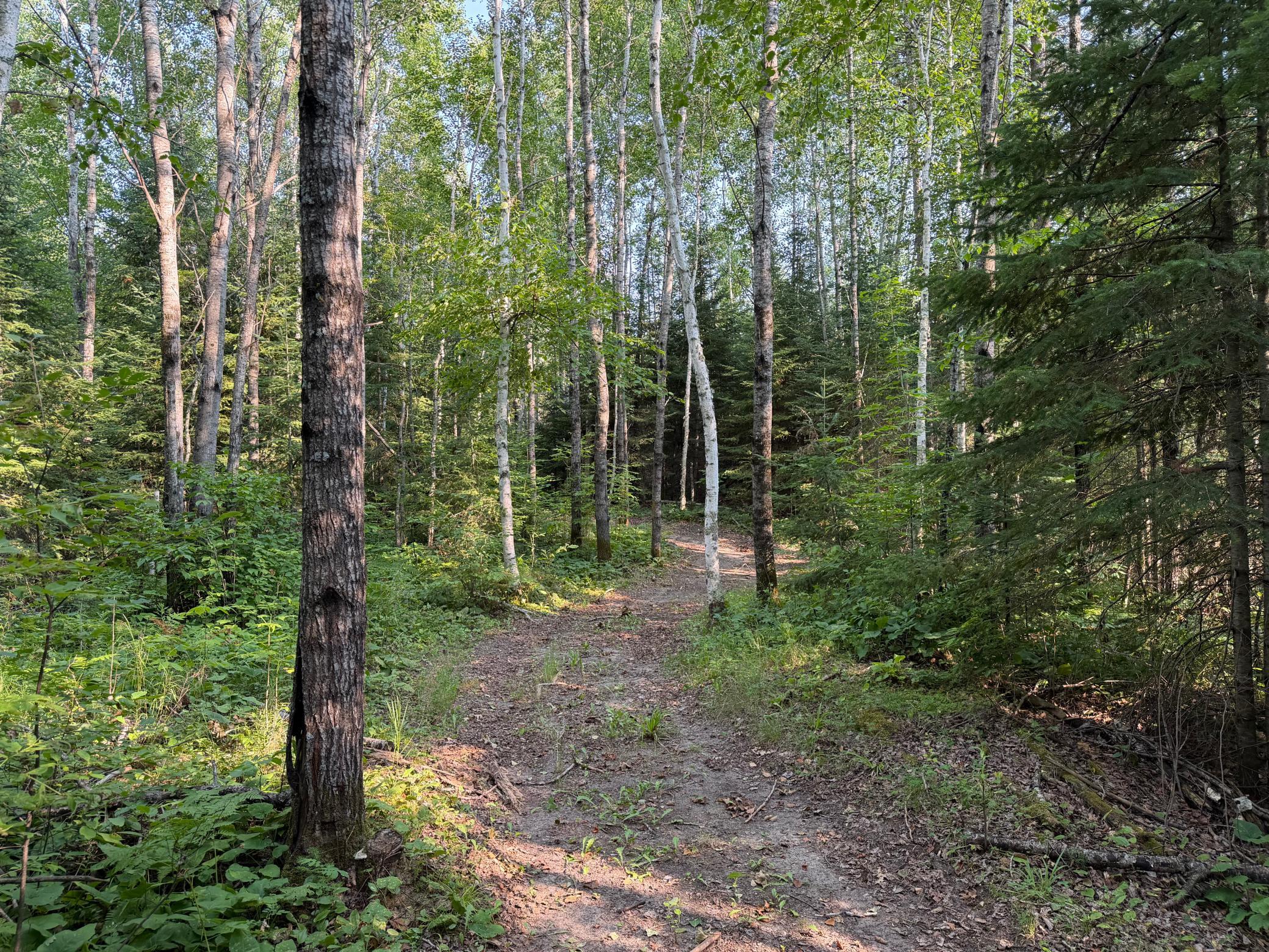 main property photo 11