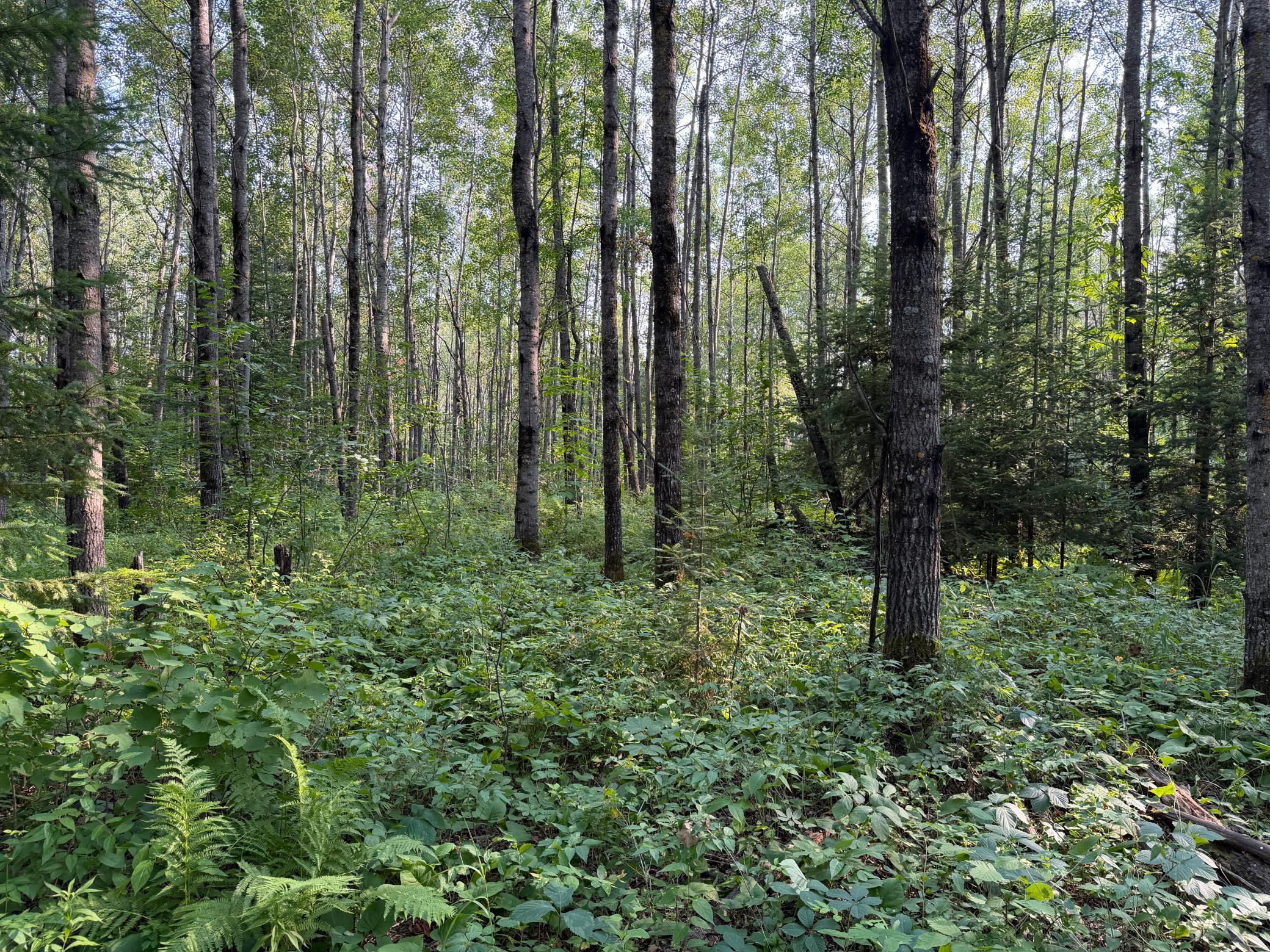 main property photo 14