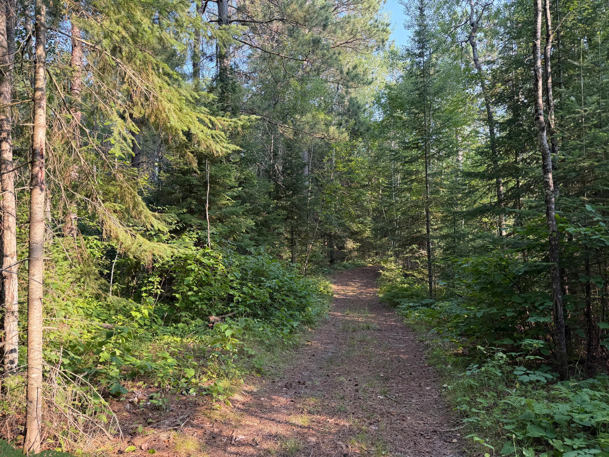 main property photo 15