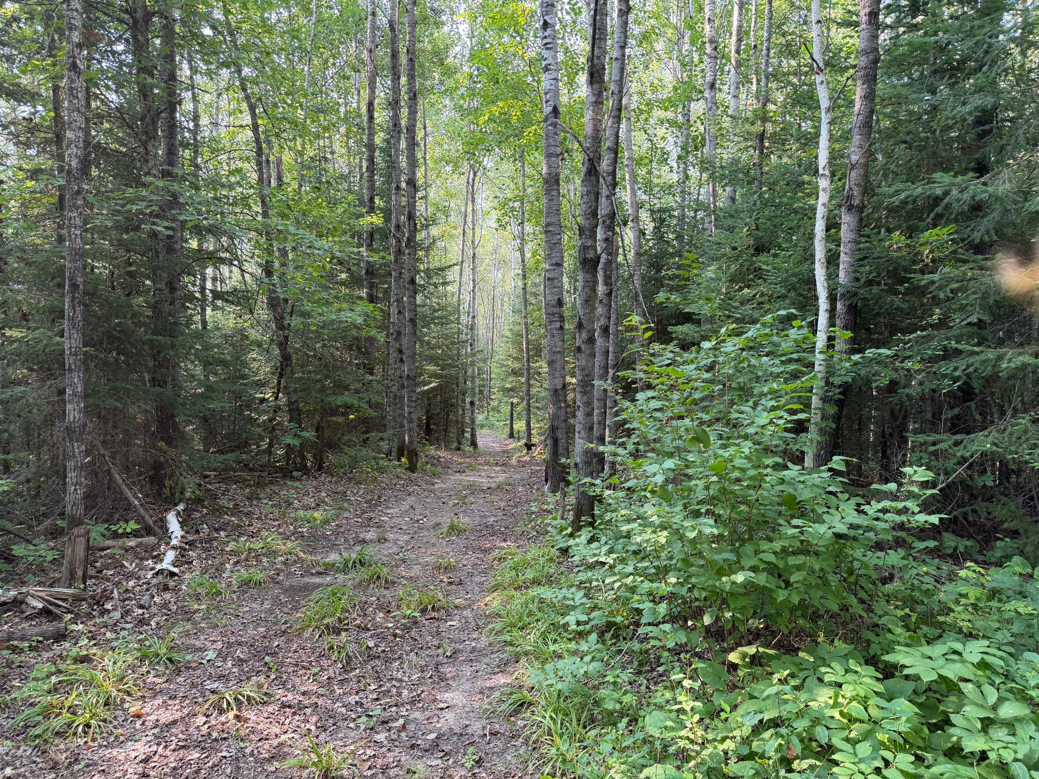 main property photo 18