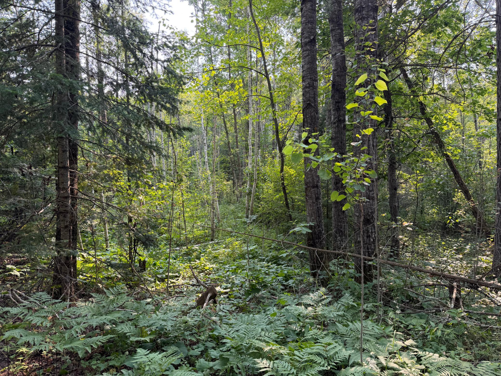 main property photo 27