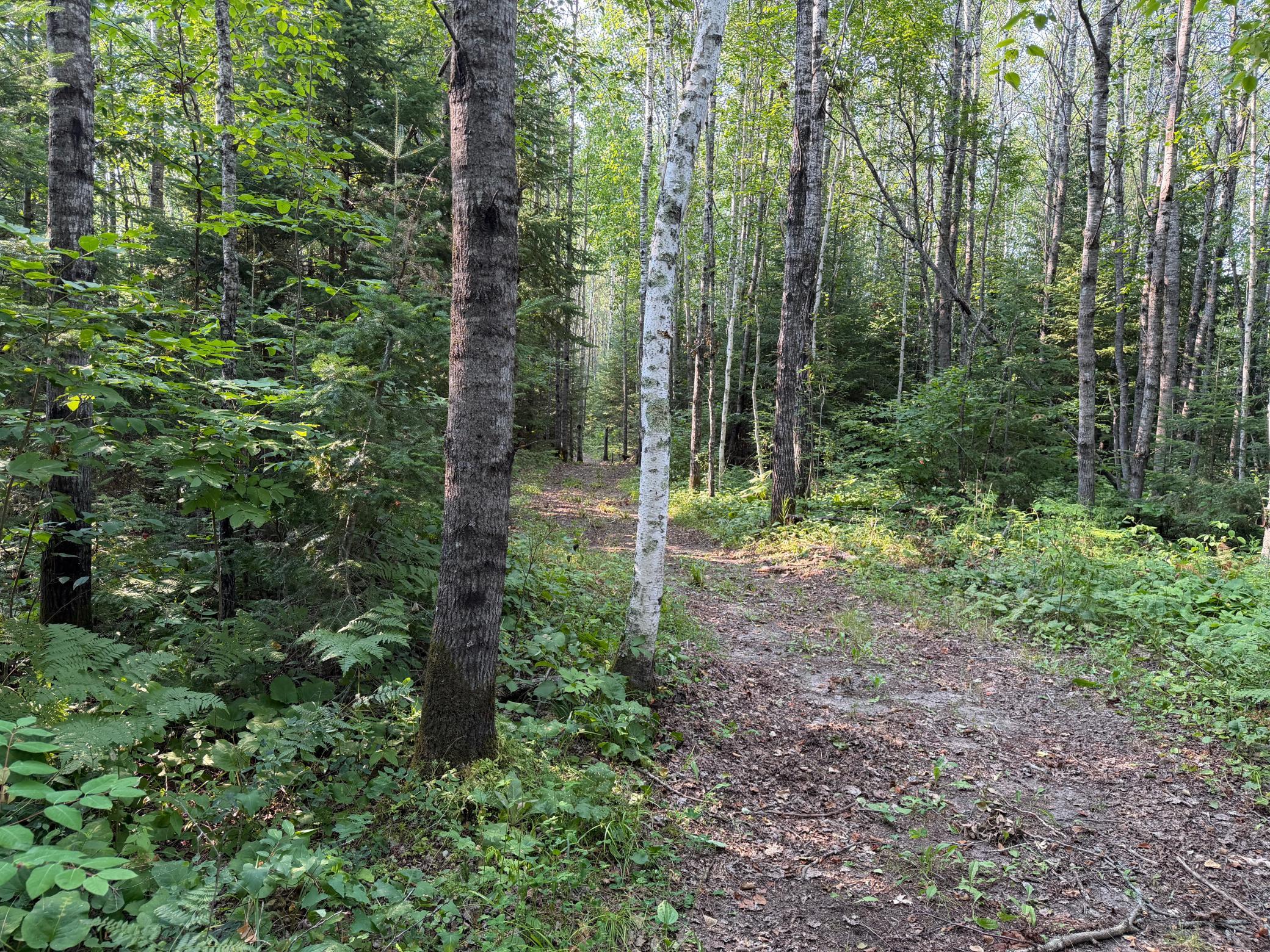 main property photo 34