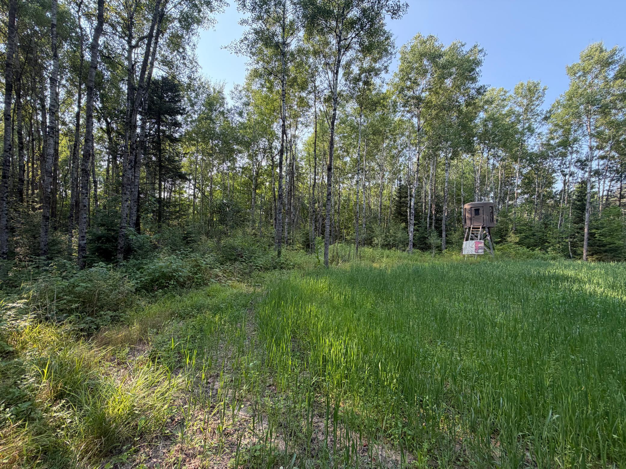main property photo 39
