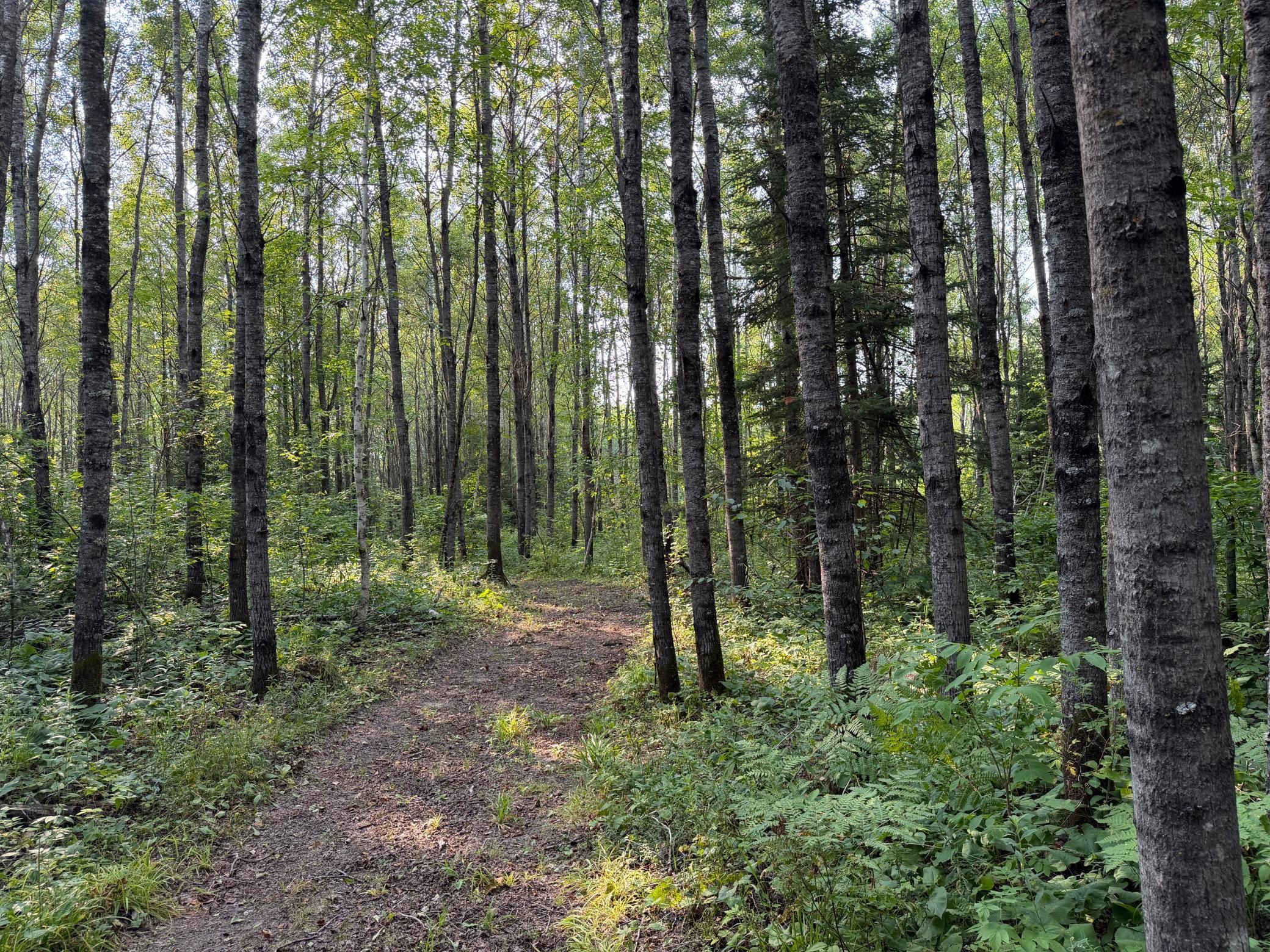main property photo 43
