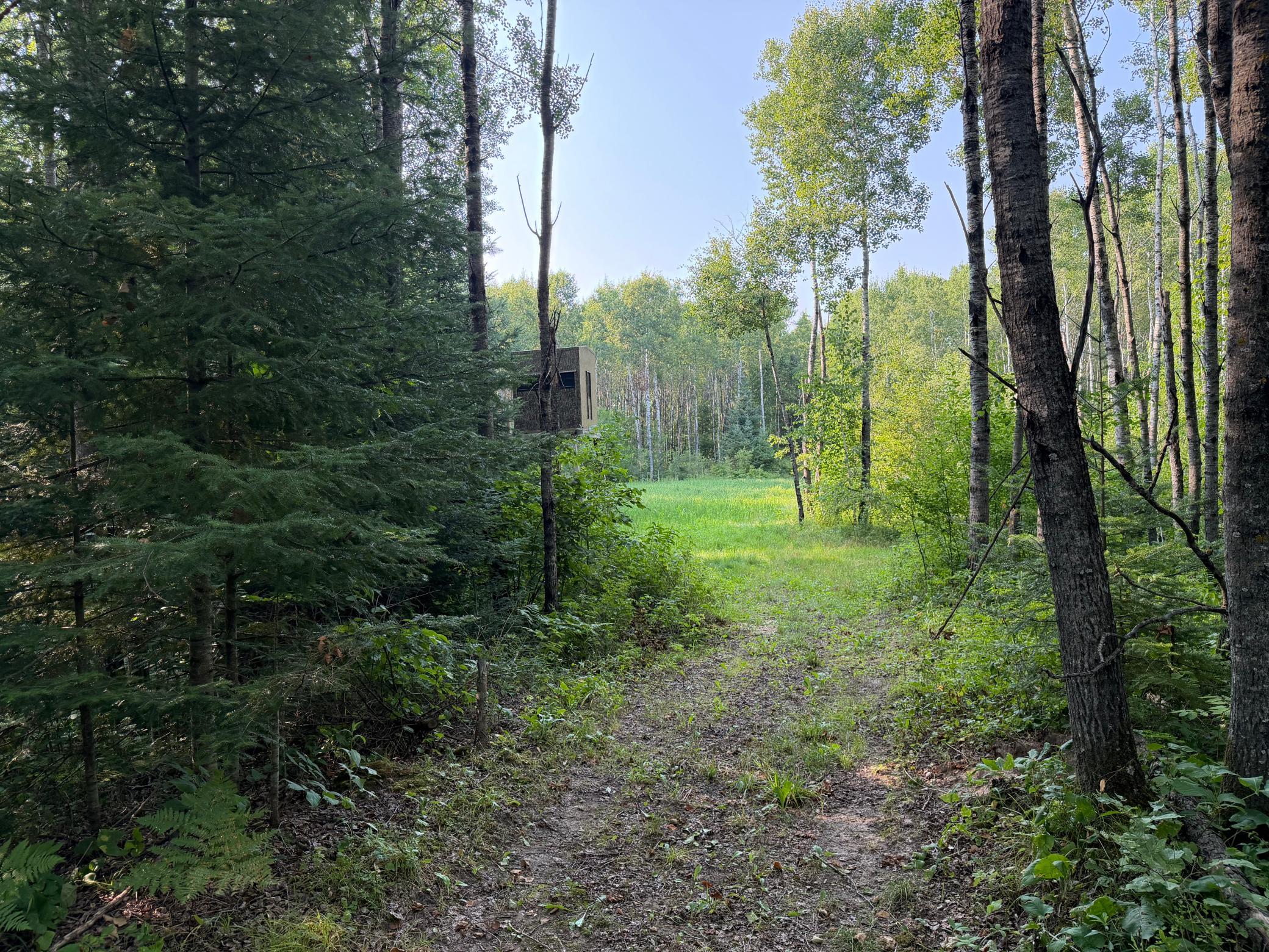 main property photo 44