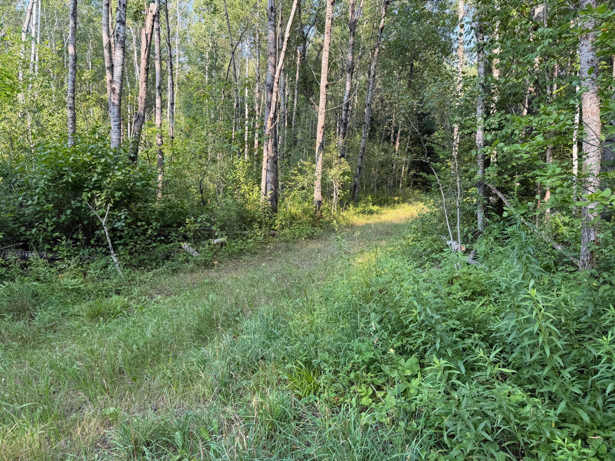 main property photo 45